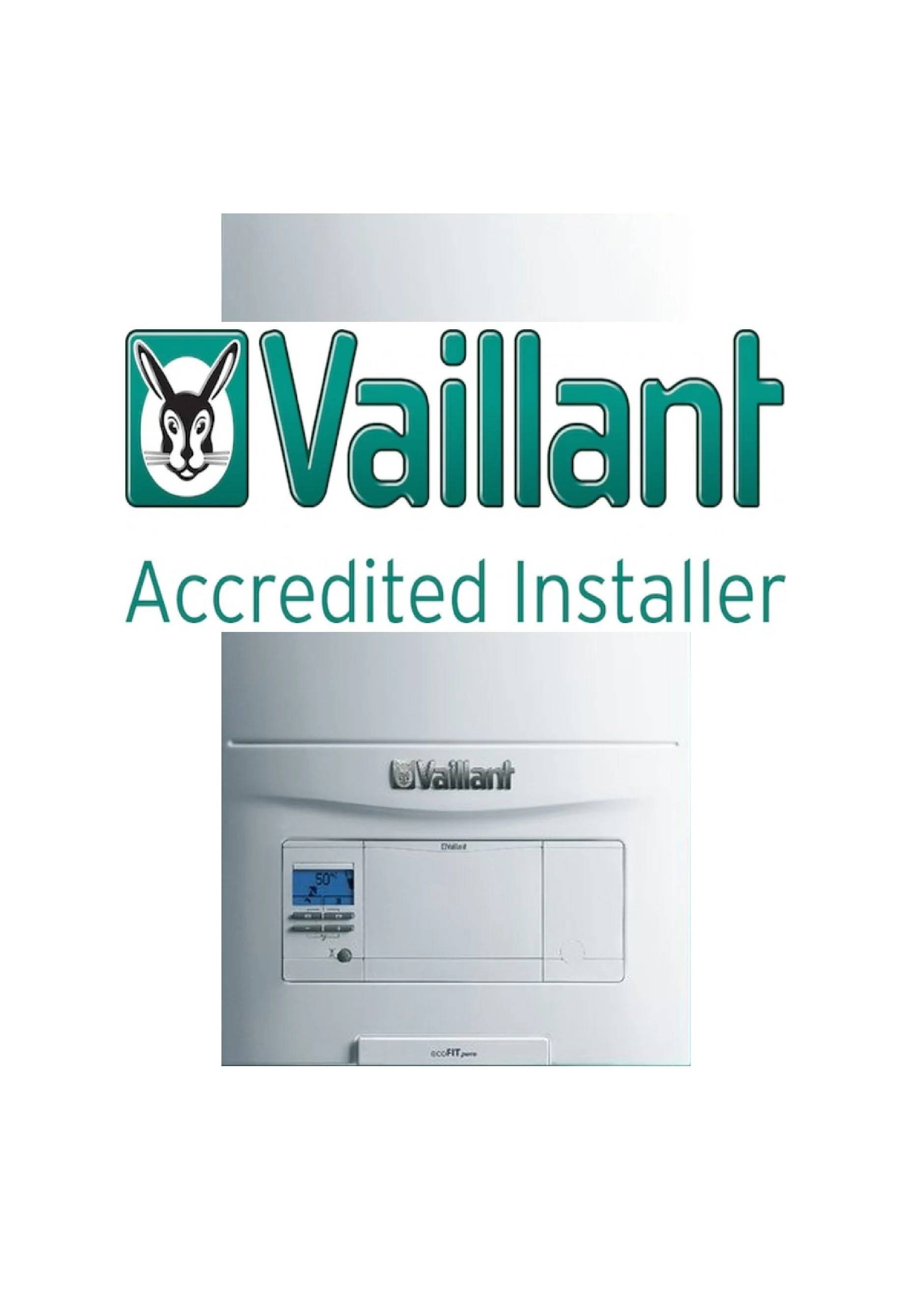Vaillant with logo 2.0.jpg