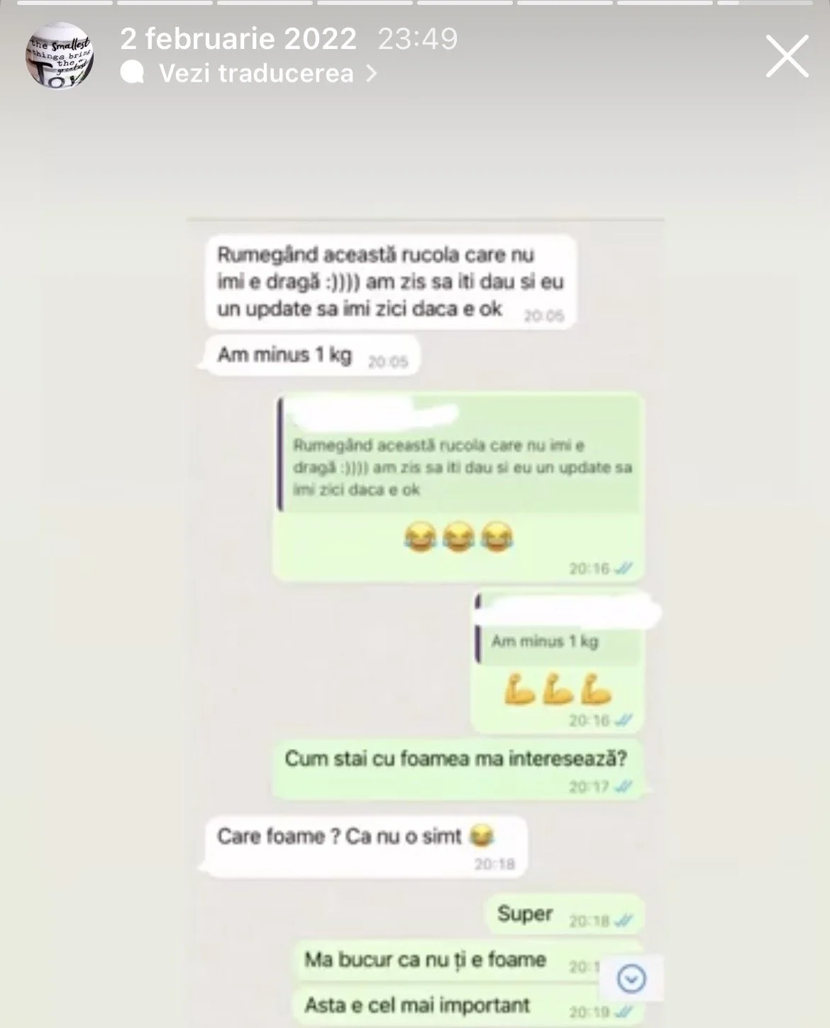Screenshot of a WhatsApp conversation discussing the nutrition of arugula, including messages with emojis.