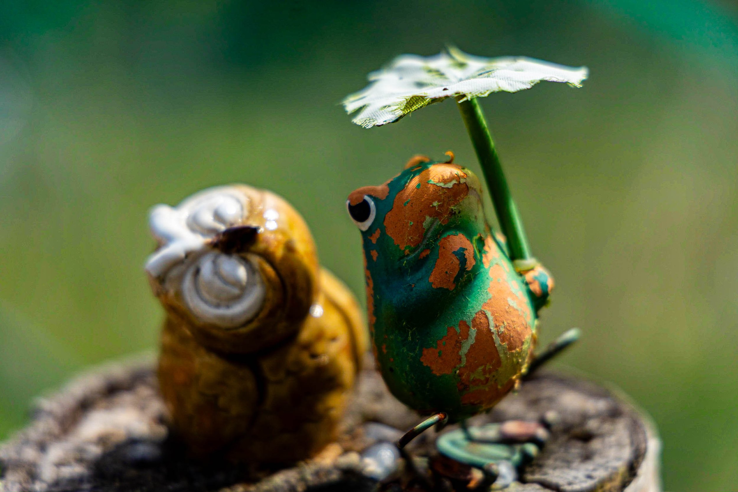 A colorful frog holding a white umbrella next to a cocoon on a tree stump with a green blurred background.