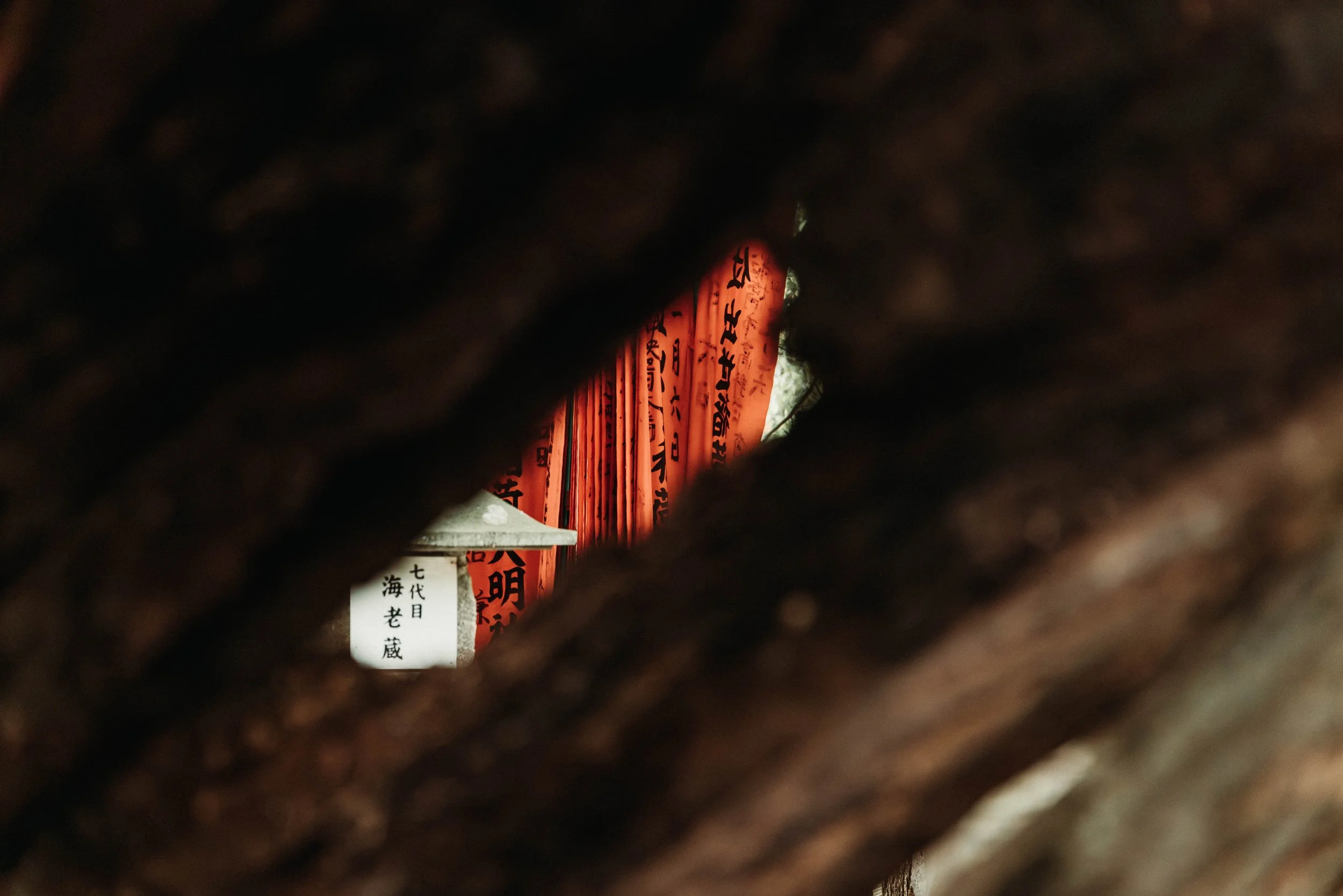 View through a small gap in a tree trunk showing orange and white paper lanterns with Japanese characters written on them.