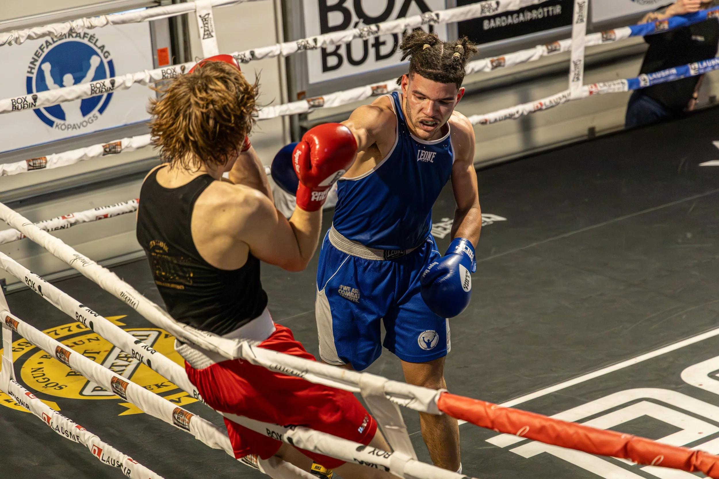 Two male boxers are engaged in a match inside a boxing ring. The boxer with blond hair, wearing red shorts and red gloves, is blocking or receiving a punch from the other boxer. The boxer delivering the punch has curly hair in braids, is wearing a bl