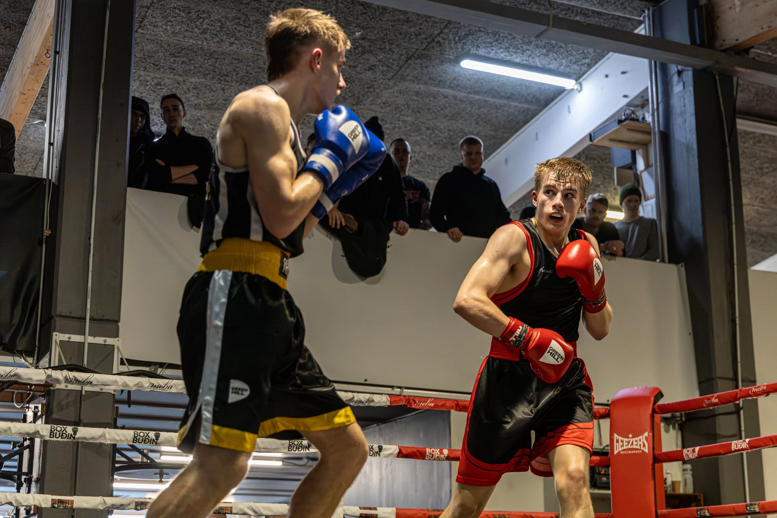 Two young male boxers sparring in a boxing ring, one wearing blue gloves and shorts with yellow trim, the other wearing red gloves and red shorts with black trim, with a group of spectators watching from outside the ring.