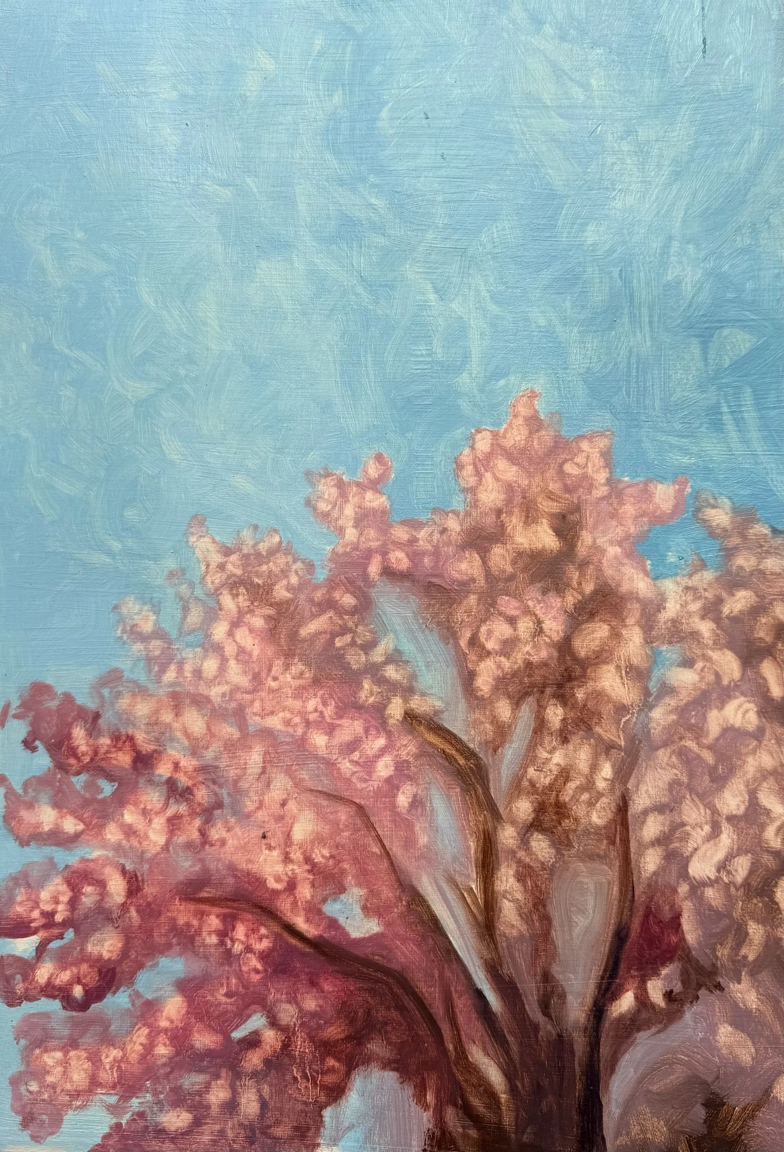 Soft Fascination - Print
