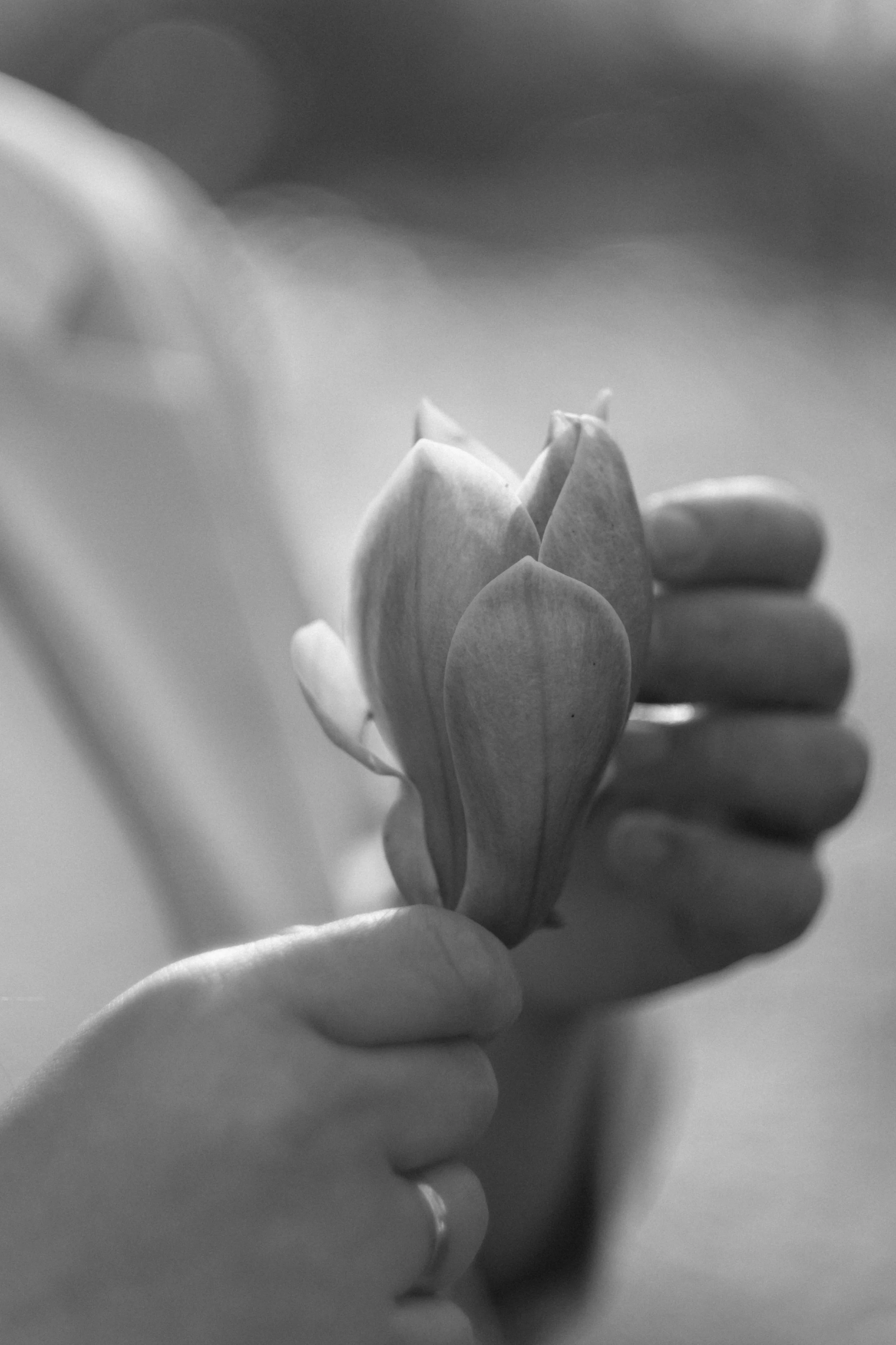 pexels-alina-chernii-682289345-20743287.jpg