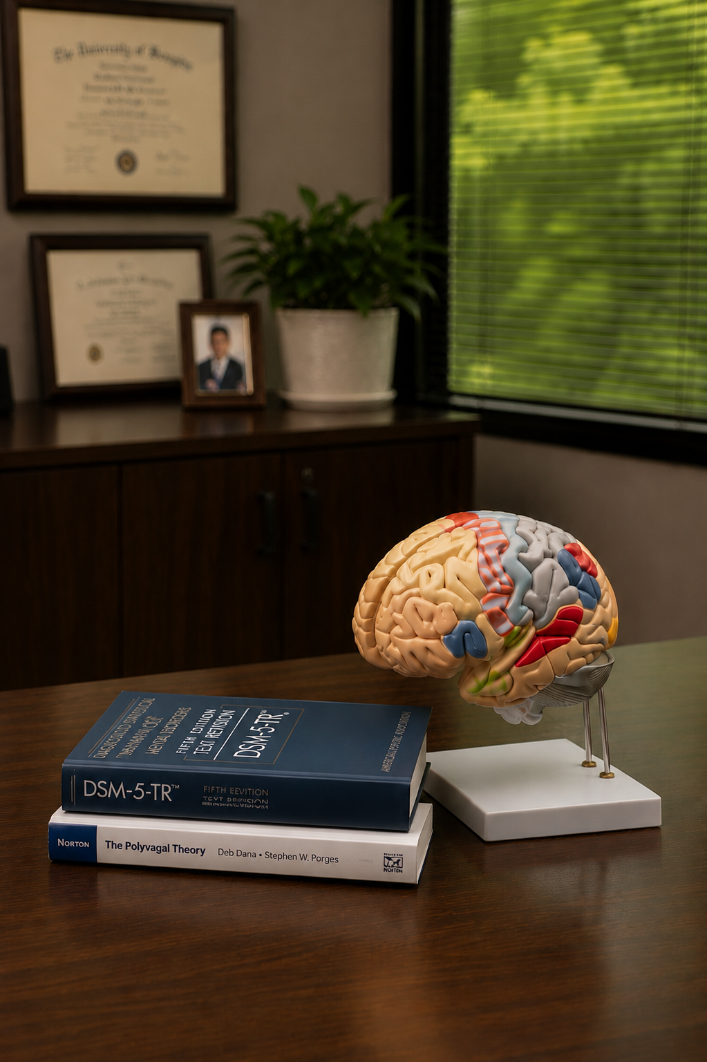 Brain model and clinical books representing evidence-informed mental health treatment