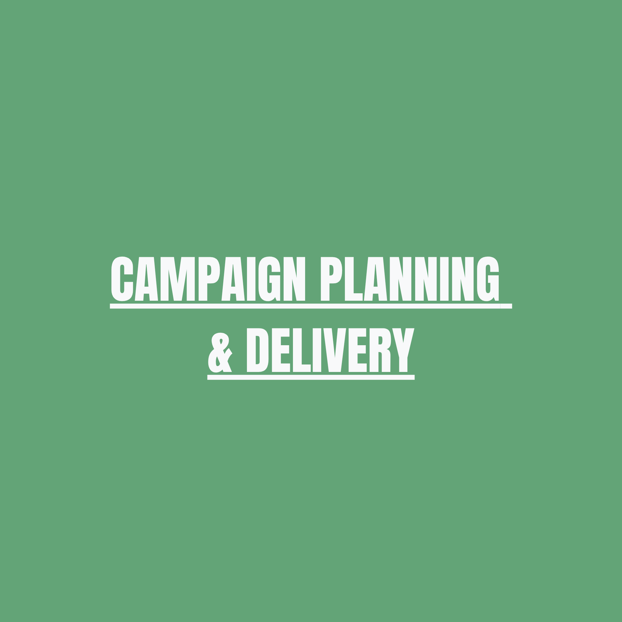 Campaign Planning & Delivery