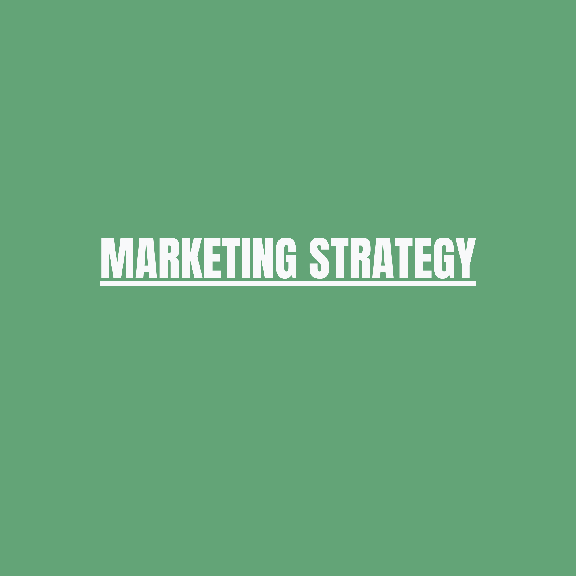 Marketing Strategy