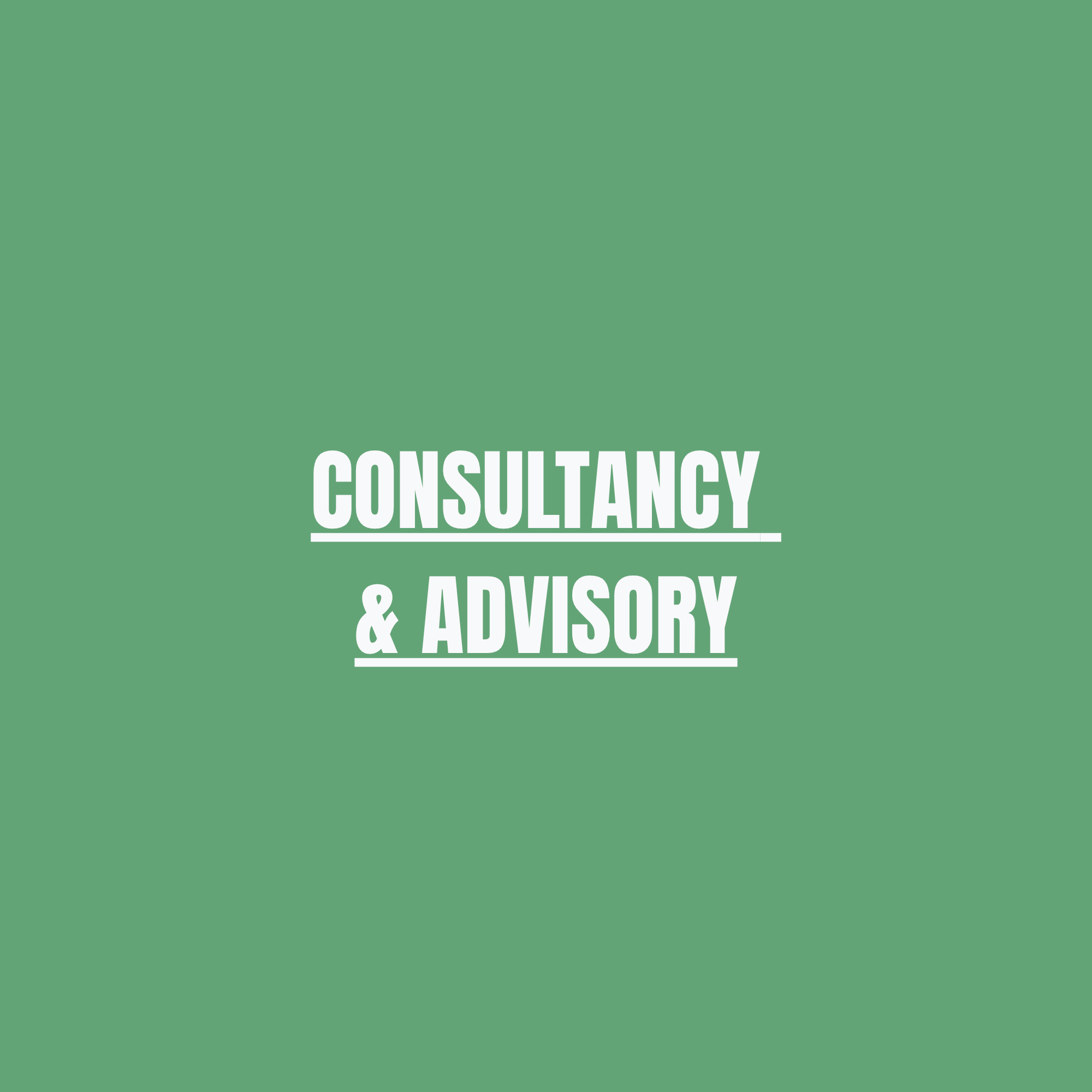 Consultancy & Advisory