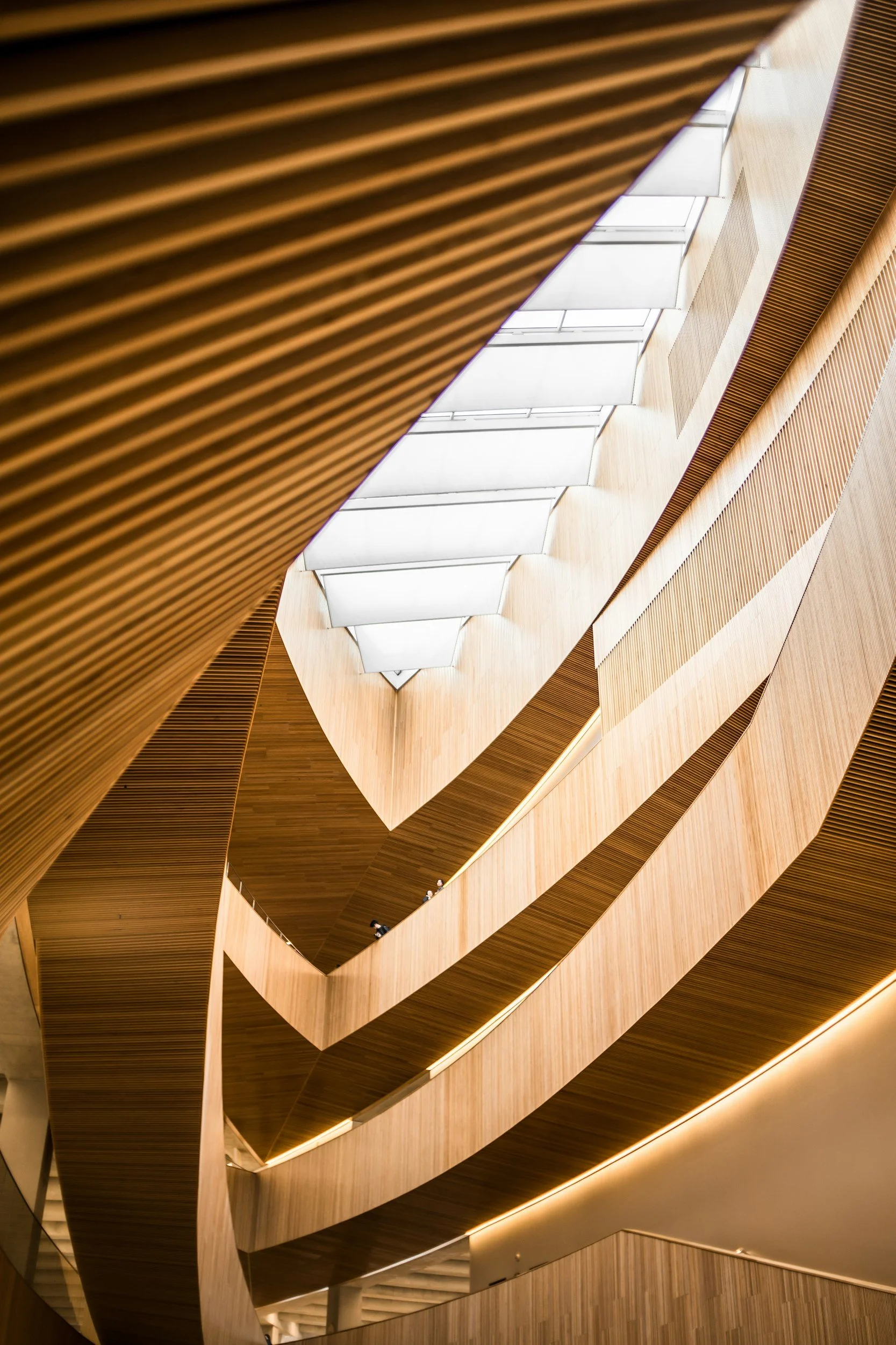 Interior view of a modern building with curved wooden walls and a large skylight above.