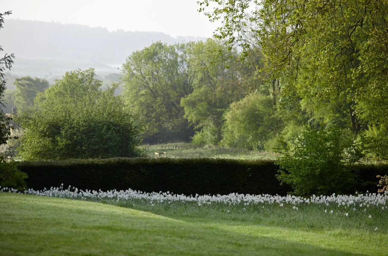 The Role and Importance of Boundaries &amp; Verges in Garden Design