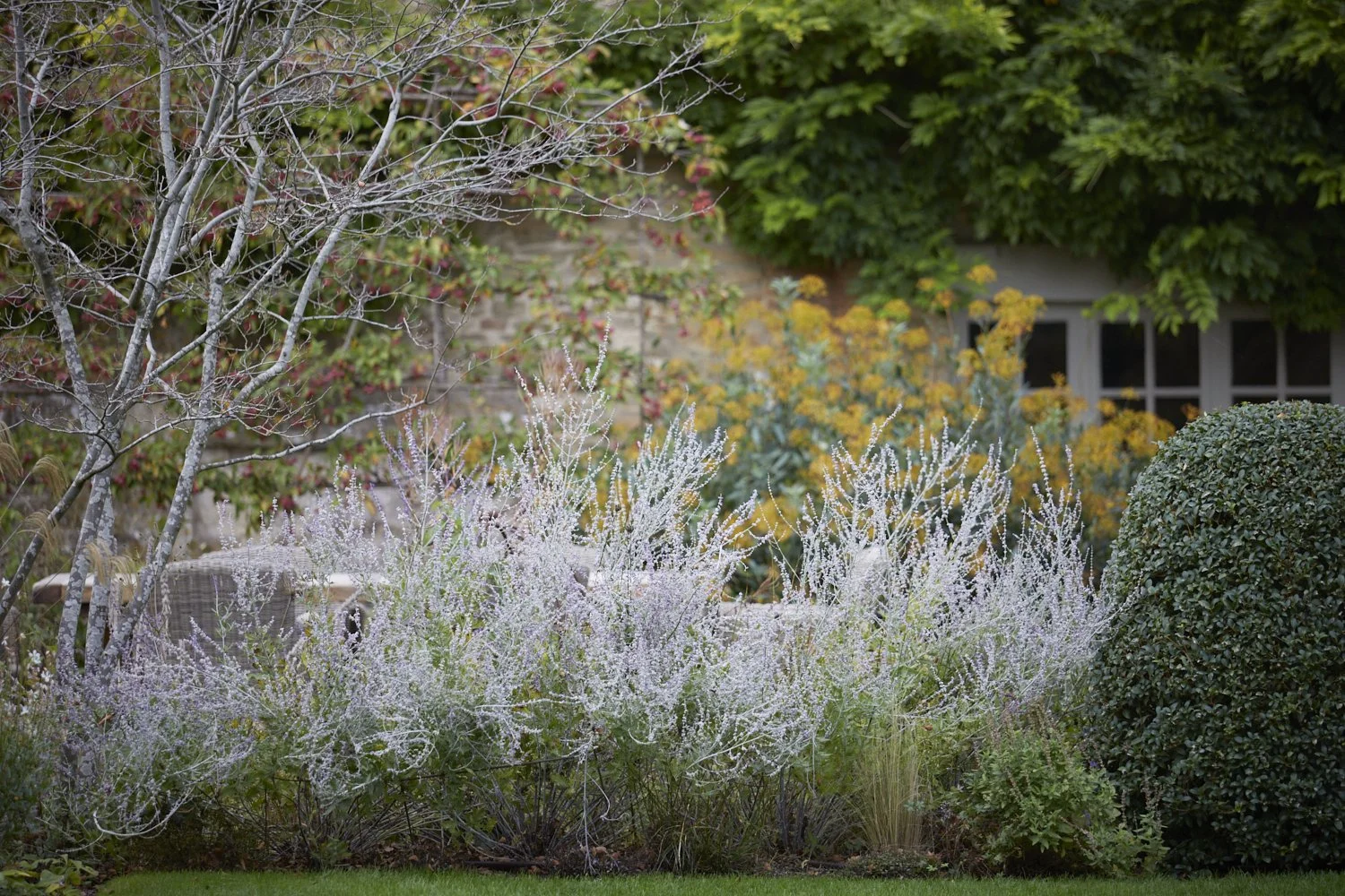 Less is more in the garden too