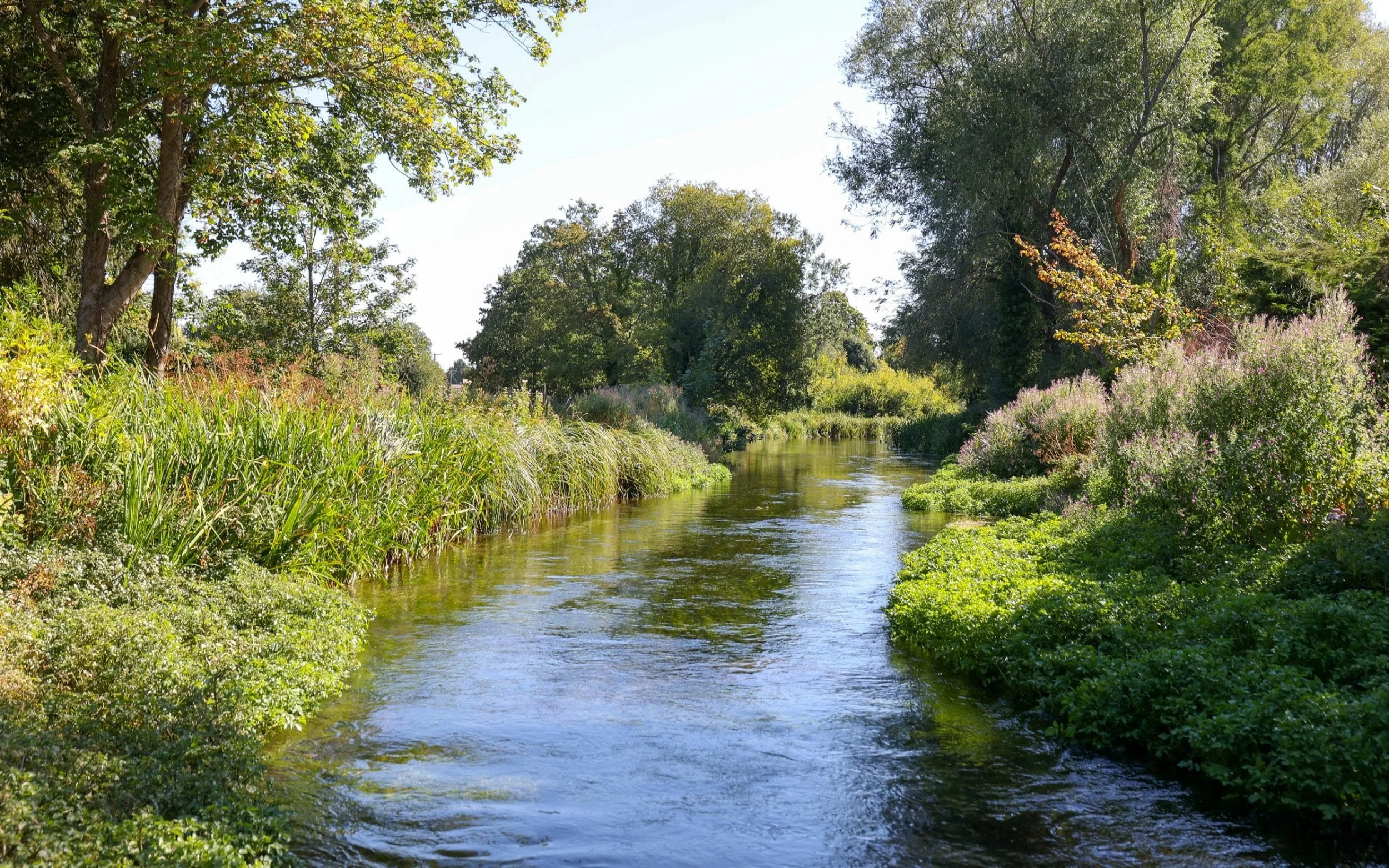 The fragile beauty of chalk streams: why they matter to your landscape