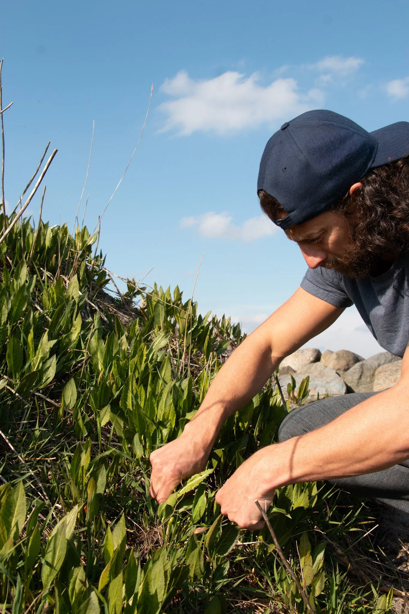 Foraging Kiko Izakaya Copenhagen