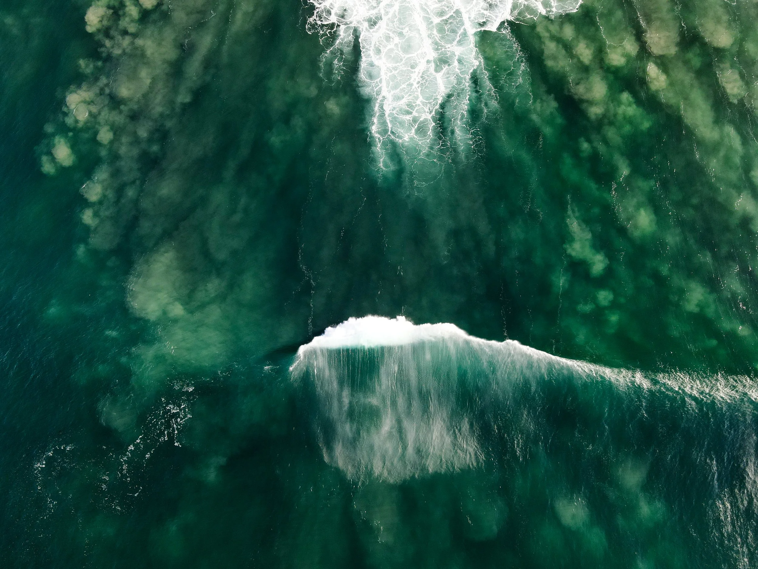 GREEN WAVE