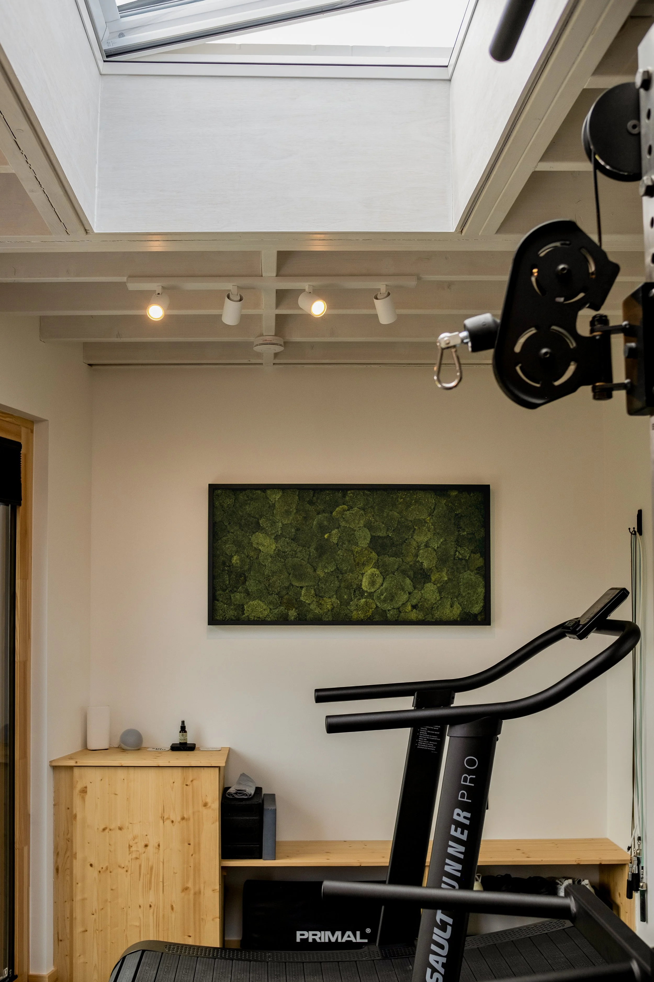 BWMA KINGS CROSS HOME GYM 03.jpg