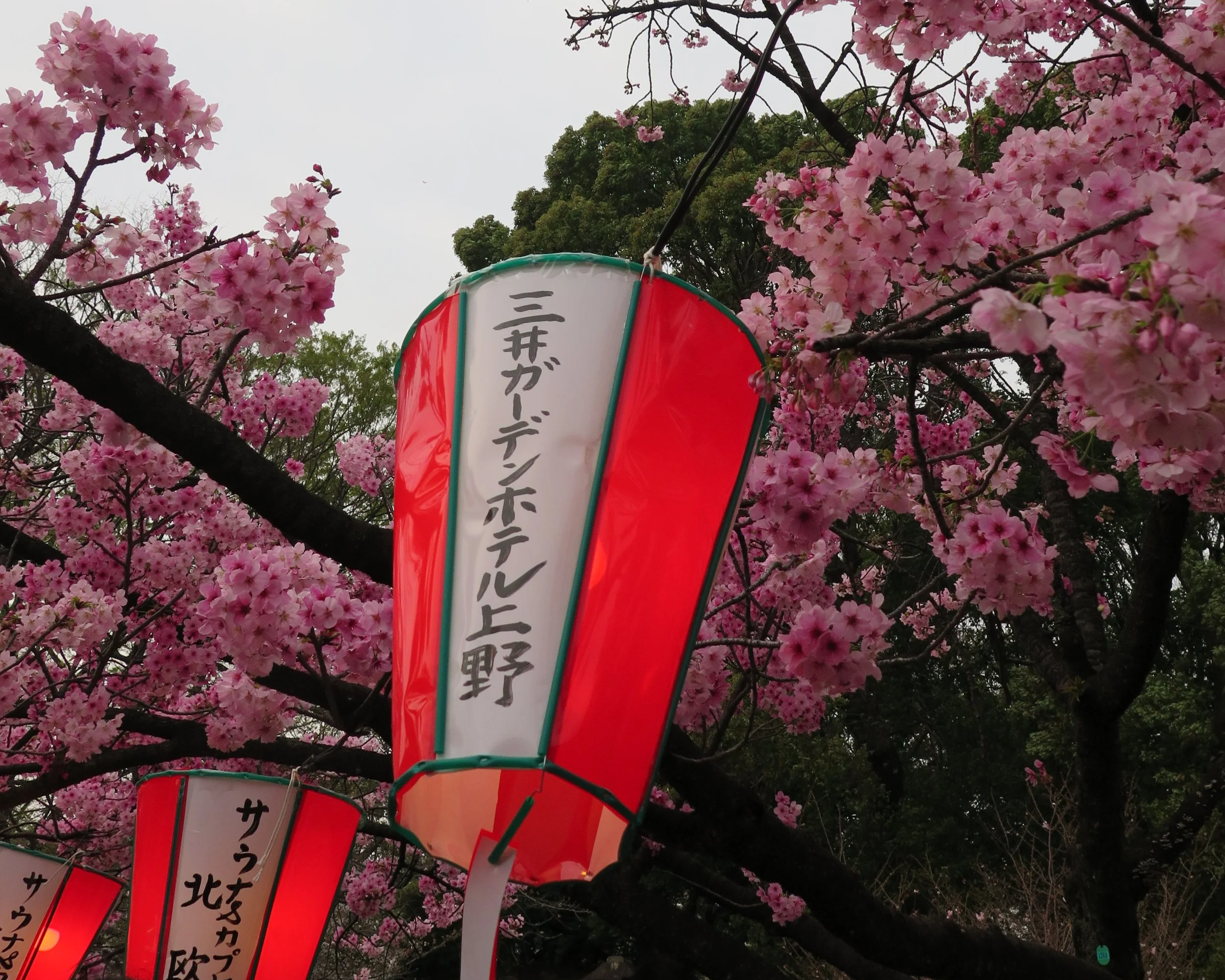 One Year On: How a trip to Japan influenced our Architecture