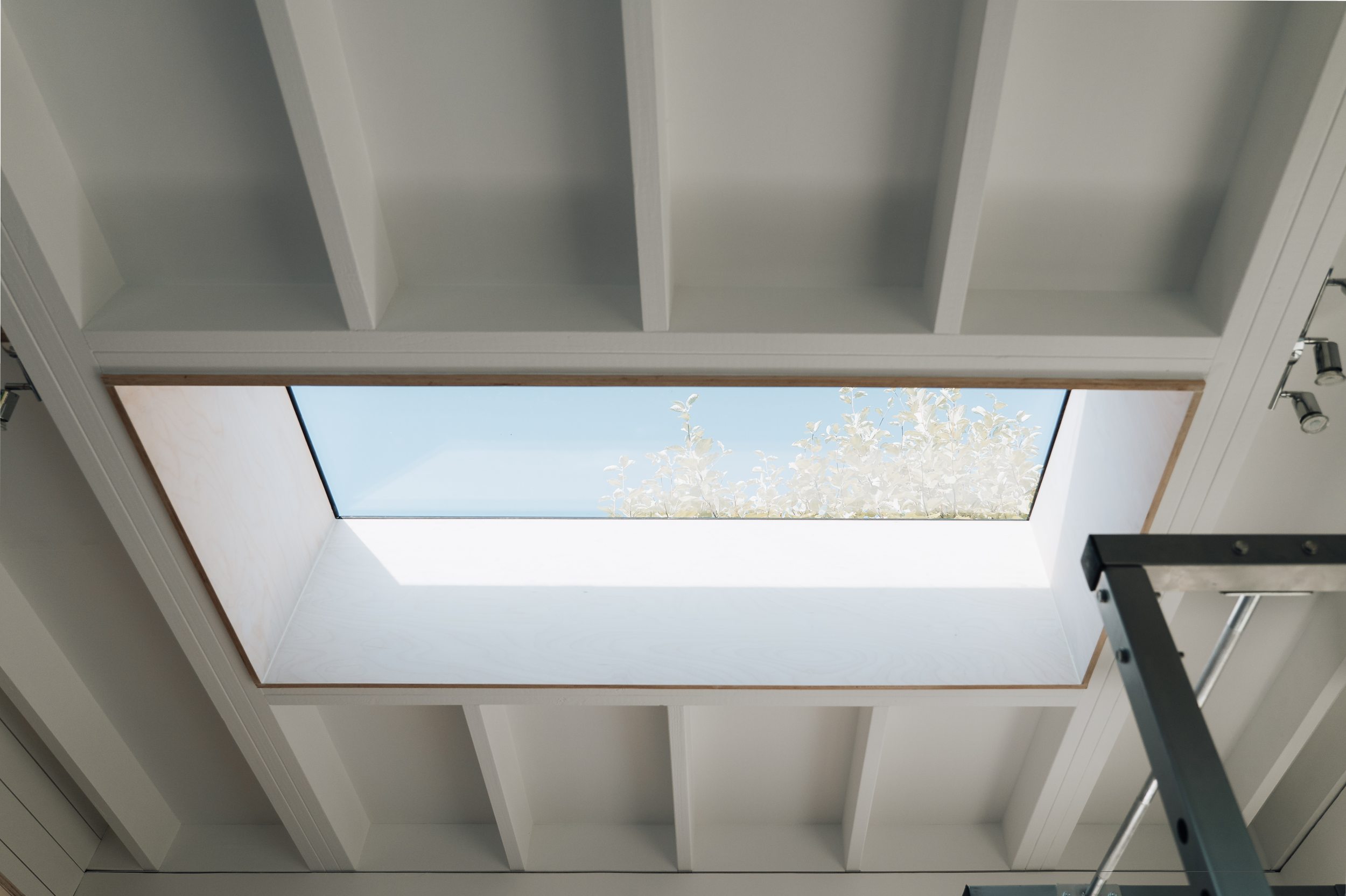 The Firs Skylight picture frame.png