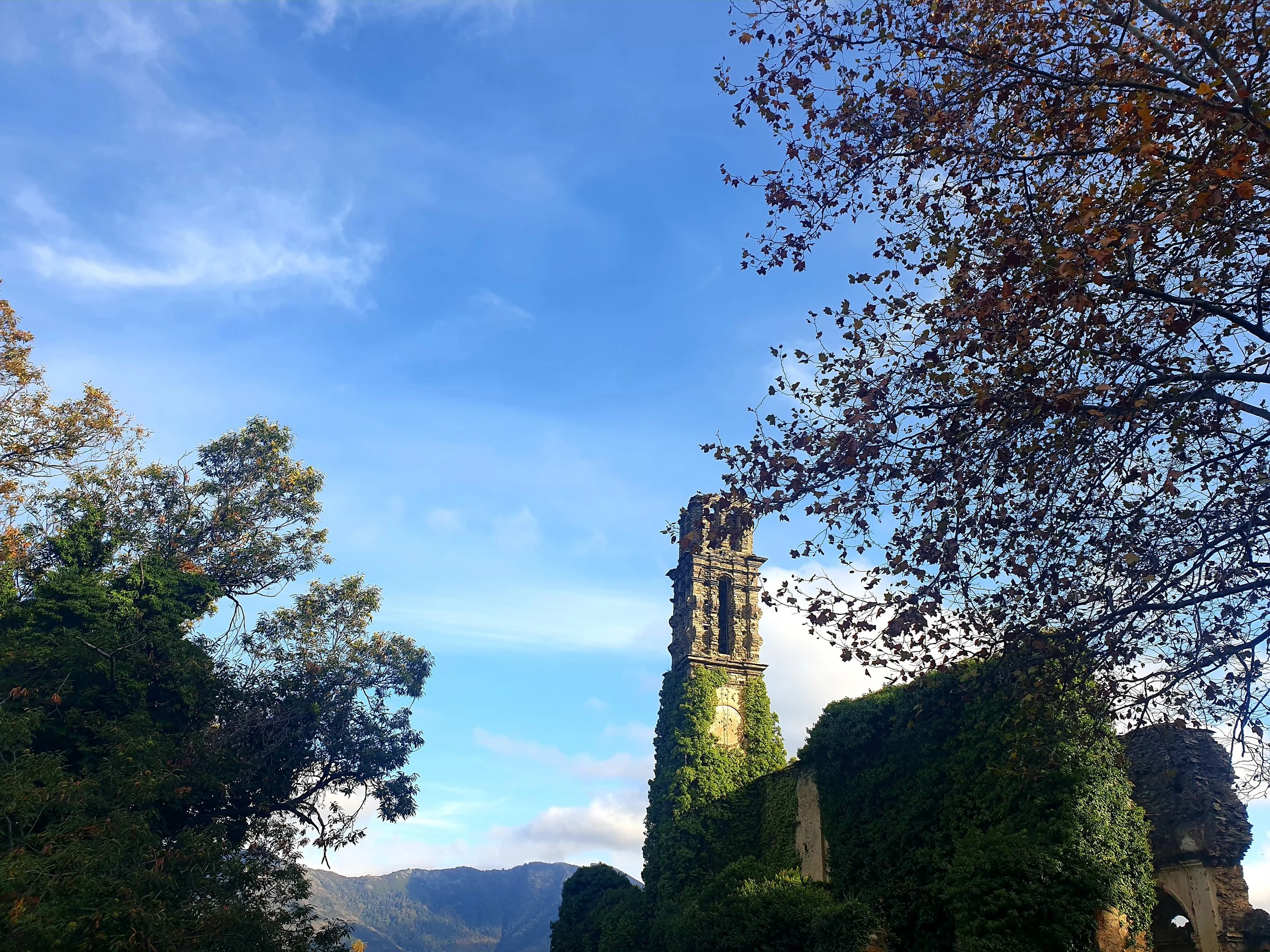 20201101_145325.jpg