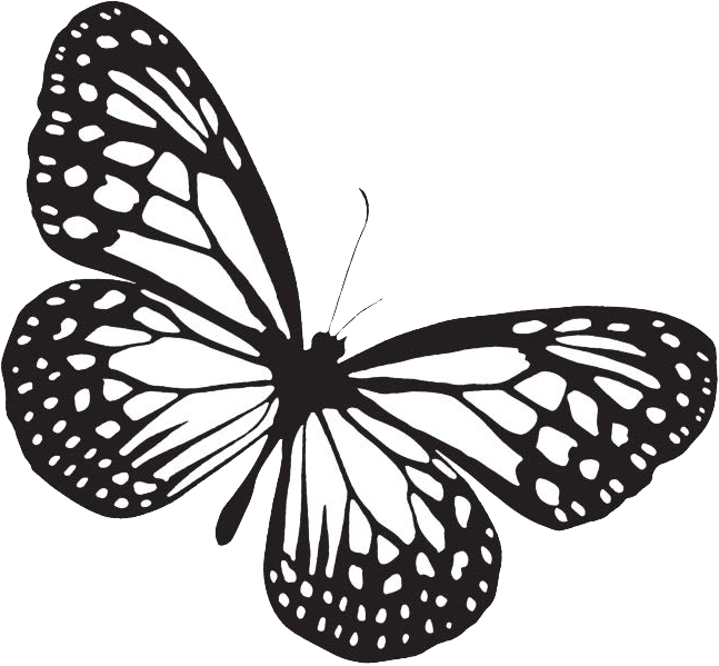 Black and white butterfly with intricate wing patterns, which is the Poetry for Coaching logo