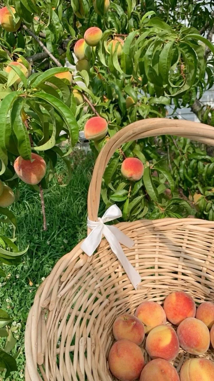 The Peach Post One-Time