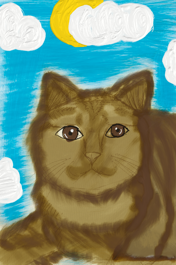 IMG_0348.PNG