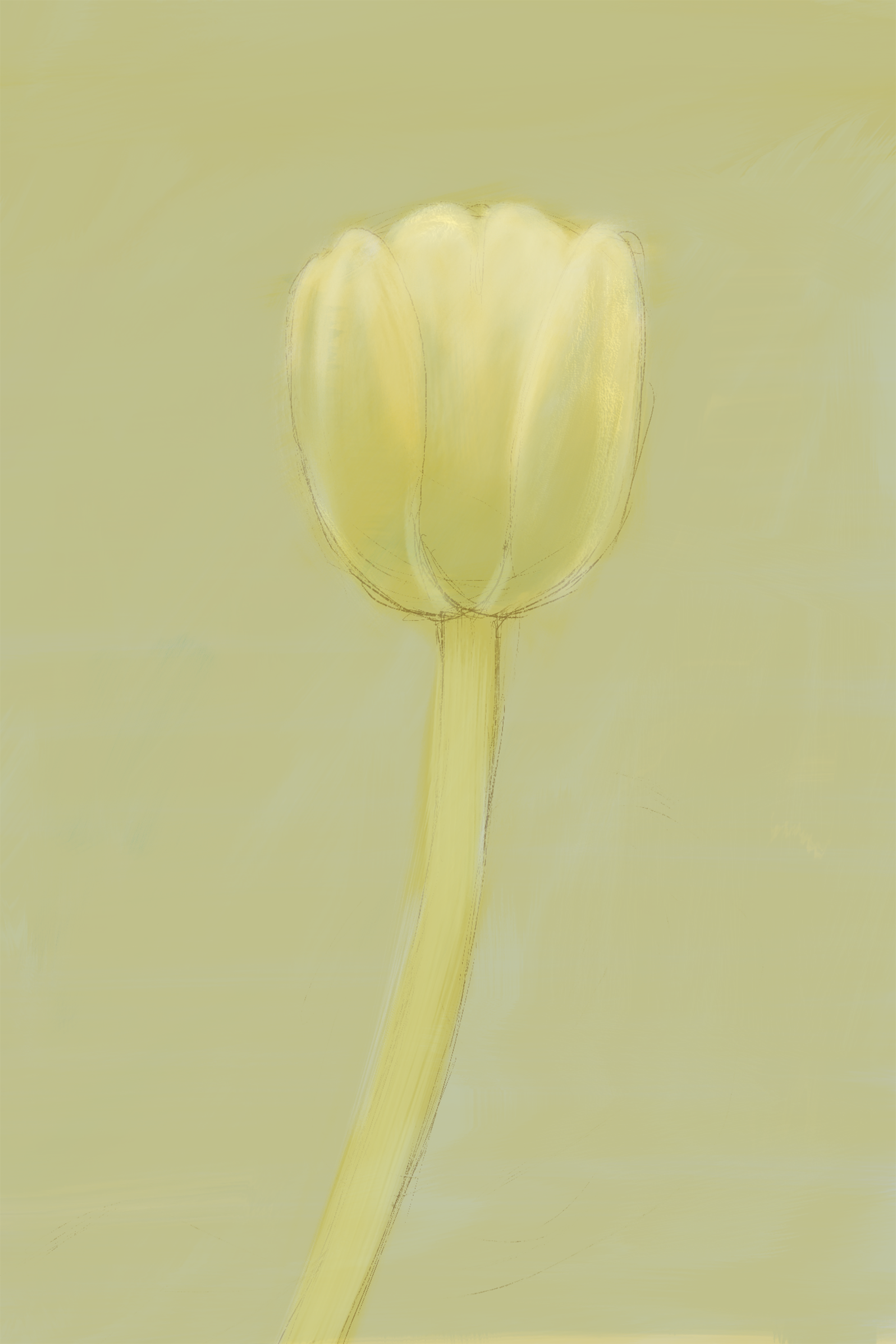 IMG_0032.png