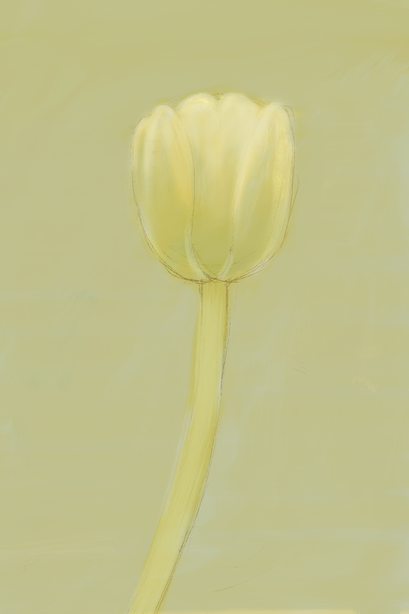 IMG_0032.PNG