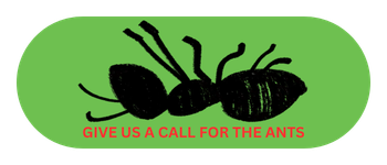 Call for ant control service in Elizabethtown KY from Lead Pest Control