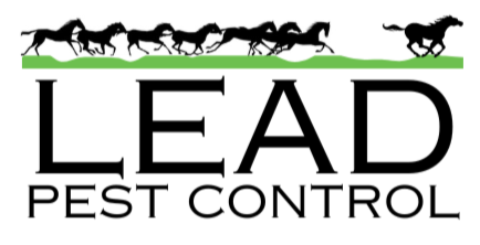 Lead Pest Control