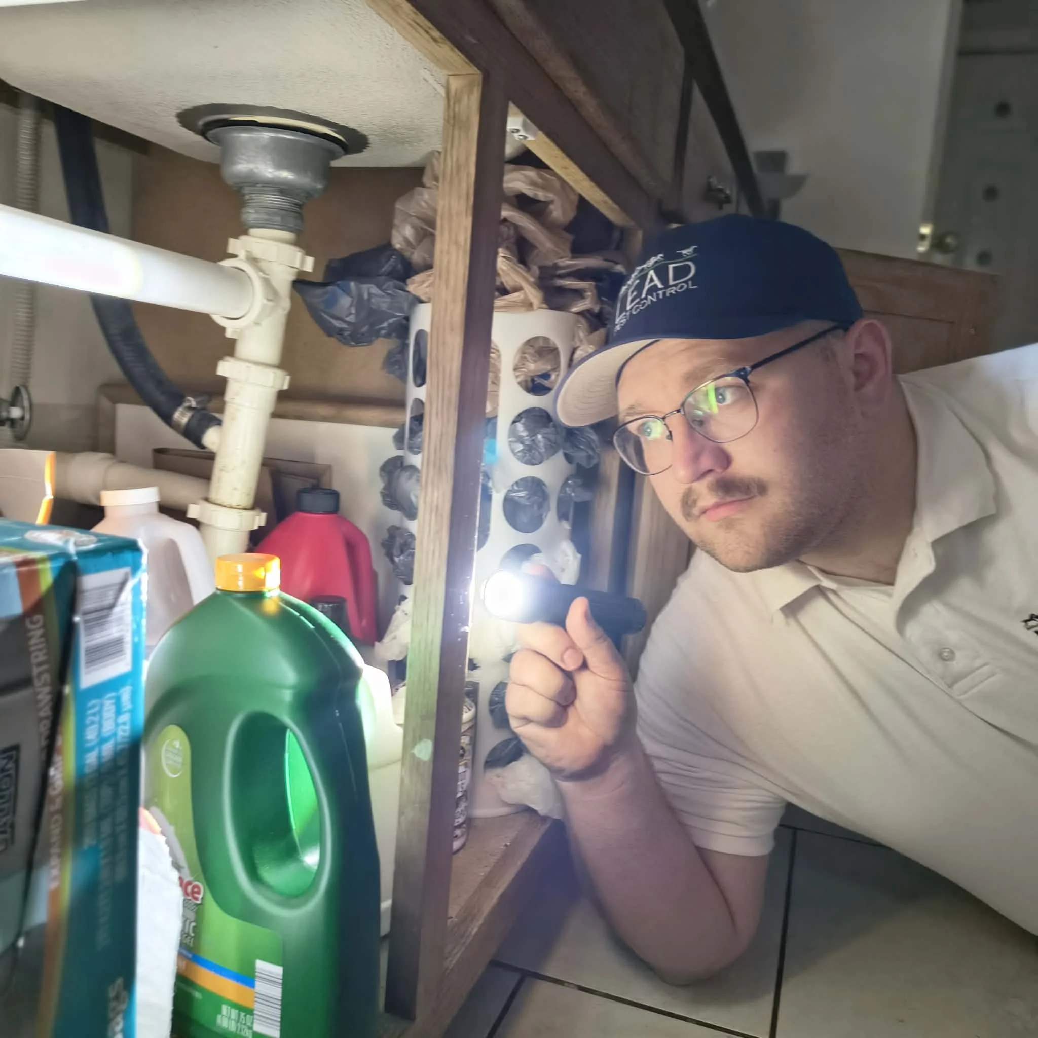 Pest control inspection under sink in Elizabethtown KY checking for moisture and pest entry points