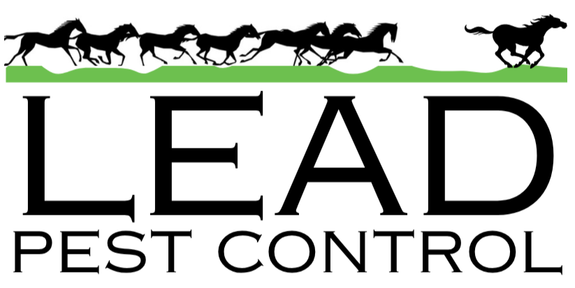 Lead Pest Control