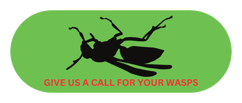 Call for wasp and stinging insect control service from Lead Pest Control
