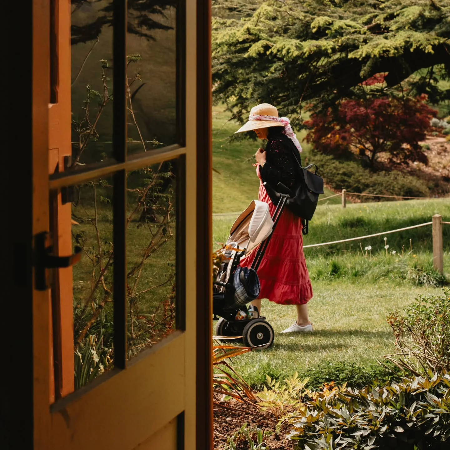 The Sunday Slow No. 9 🤎📷
"Through the bookshop door"

I was just standing for a moment inside a little second-hand bookshop.

Shelves behind me, spring light outside.
The door open just enough to let the garden in.

I remember looking out