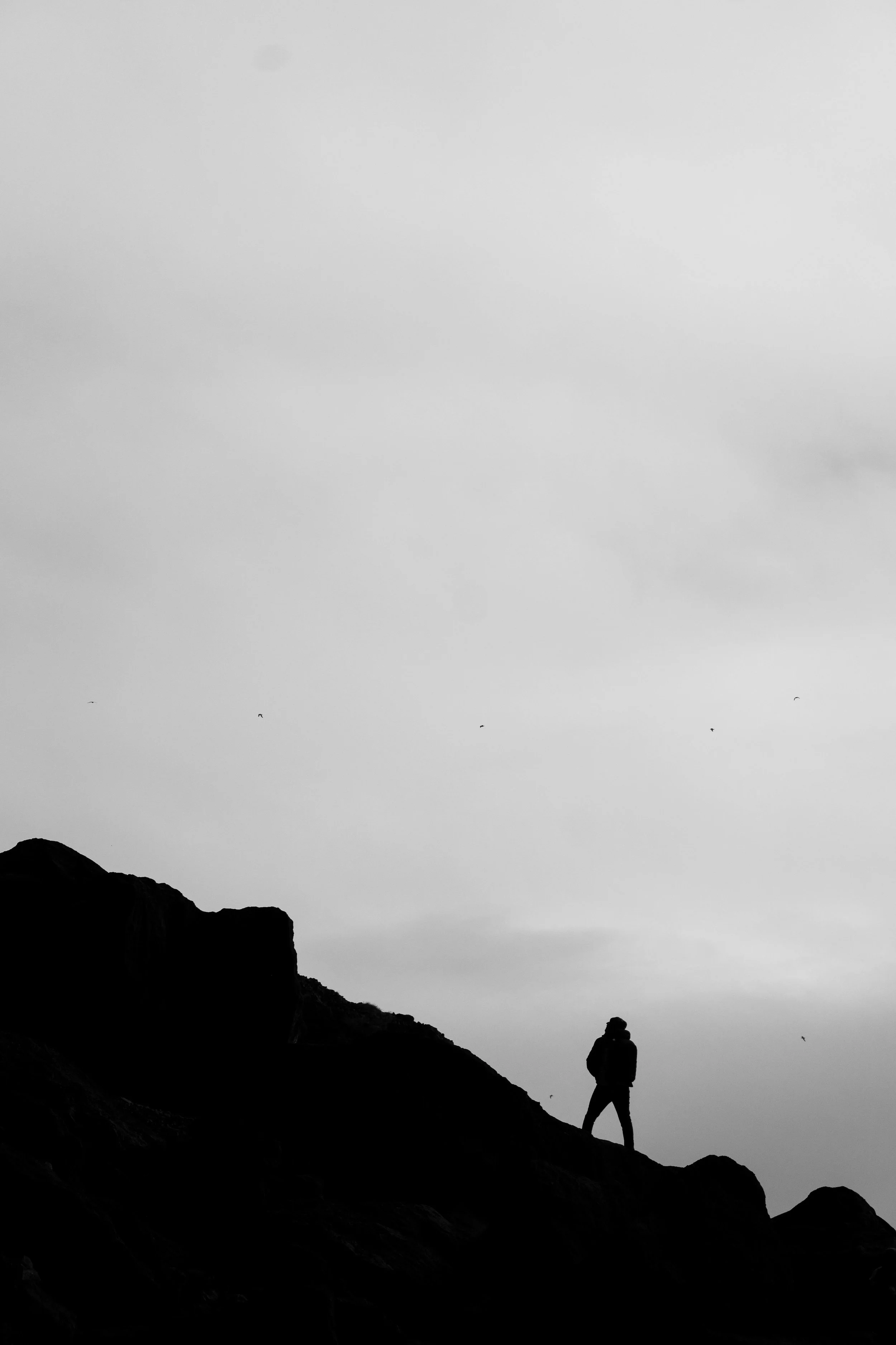 Thalia+Portfolio+Image 3.jpg