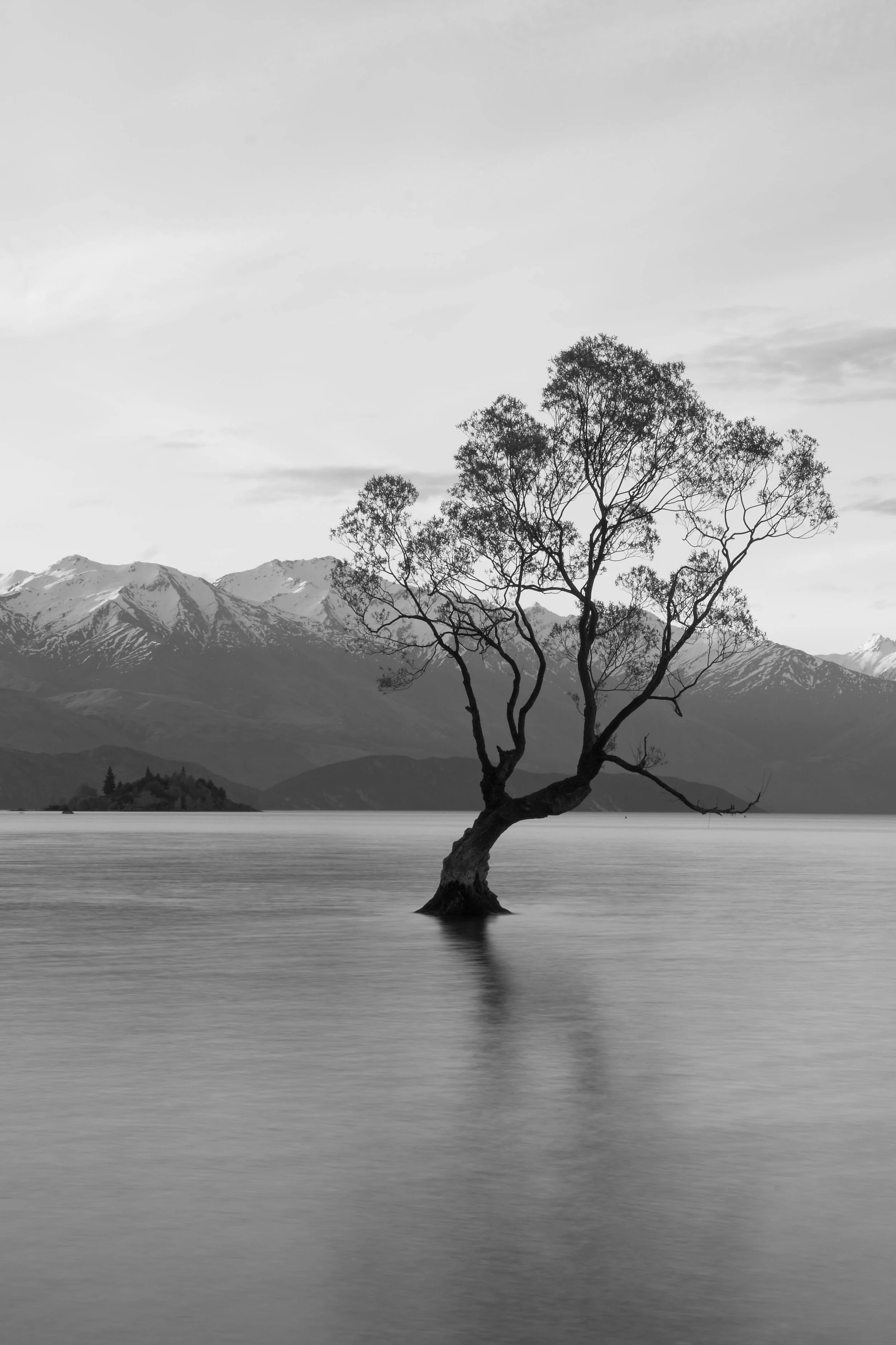 Thalia+Portfolio+Image 5.jpg