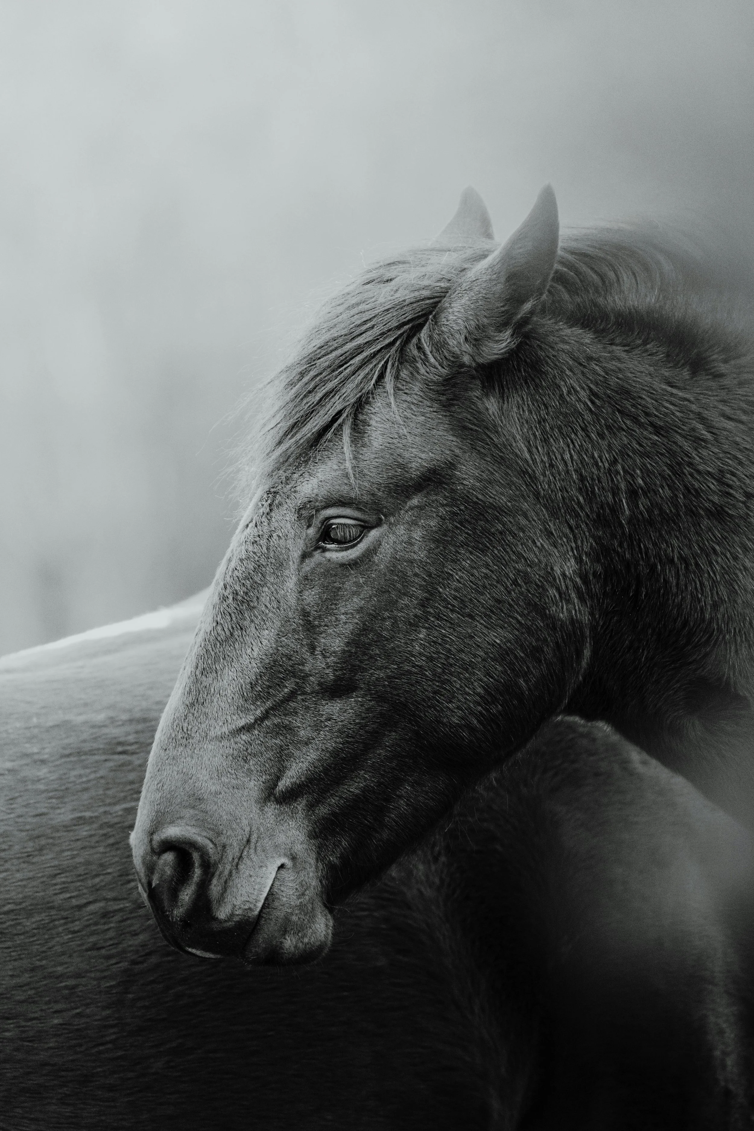 Thalia+Portfolio+Image 6.jpg