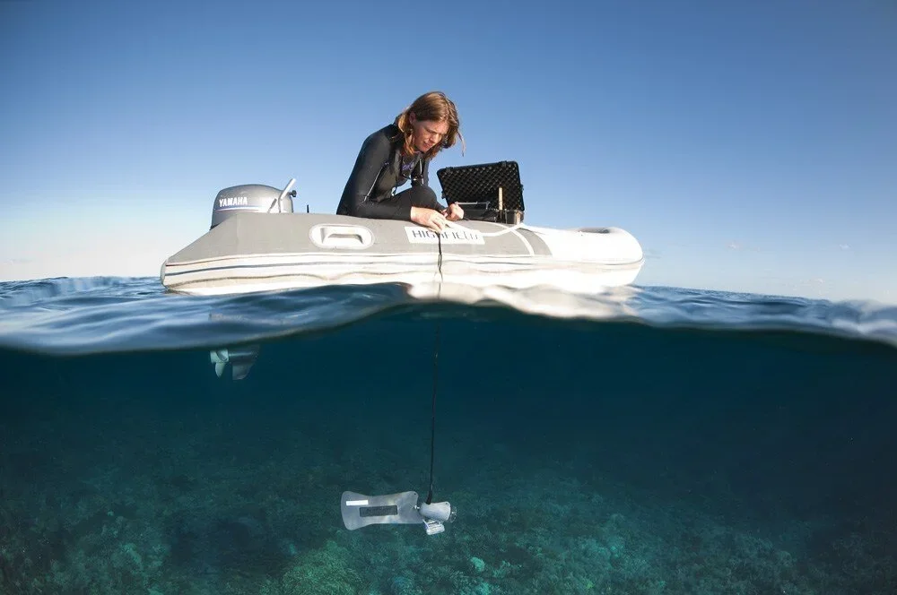 Plotting the Oceans and Tracking the 'Bachelor Pad': Marine Cartography with Professor Sarah Hamylton