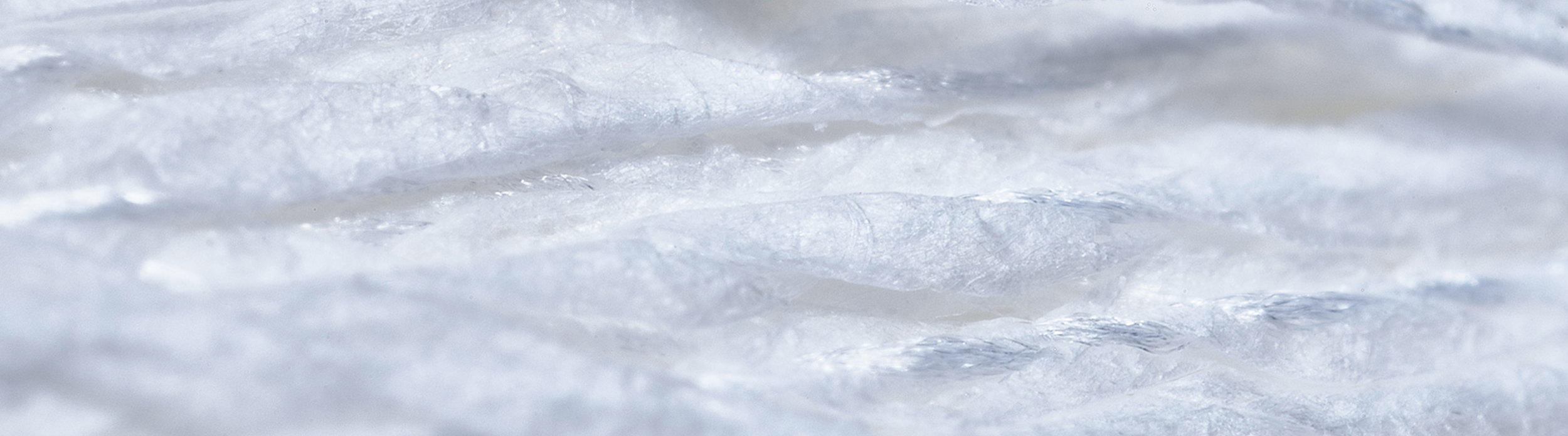 Scorza di foglie di plastica trasparente con texture ghiacciata