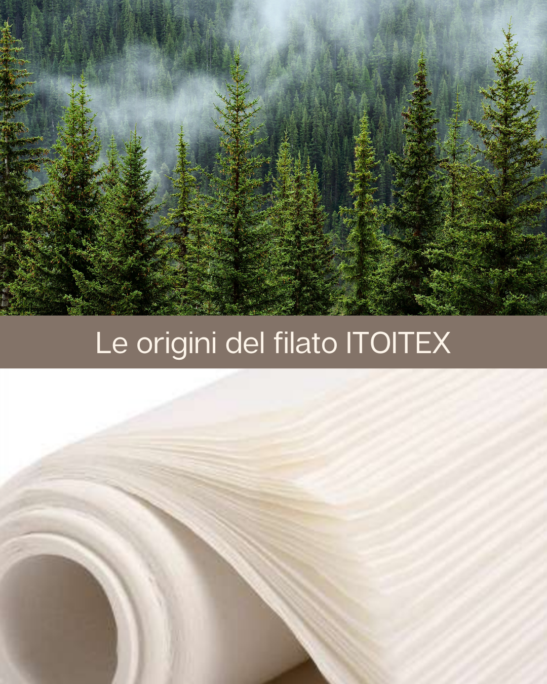 Foresta di conifere con nebbia mattutina e un rotolo di filo di tessuto bianco arrotolato.
