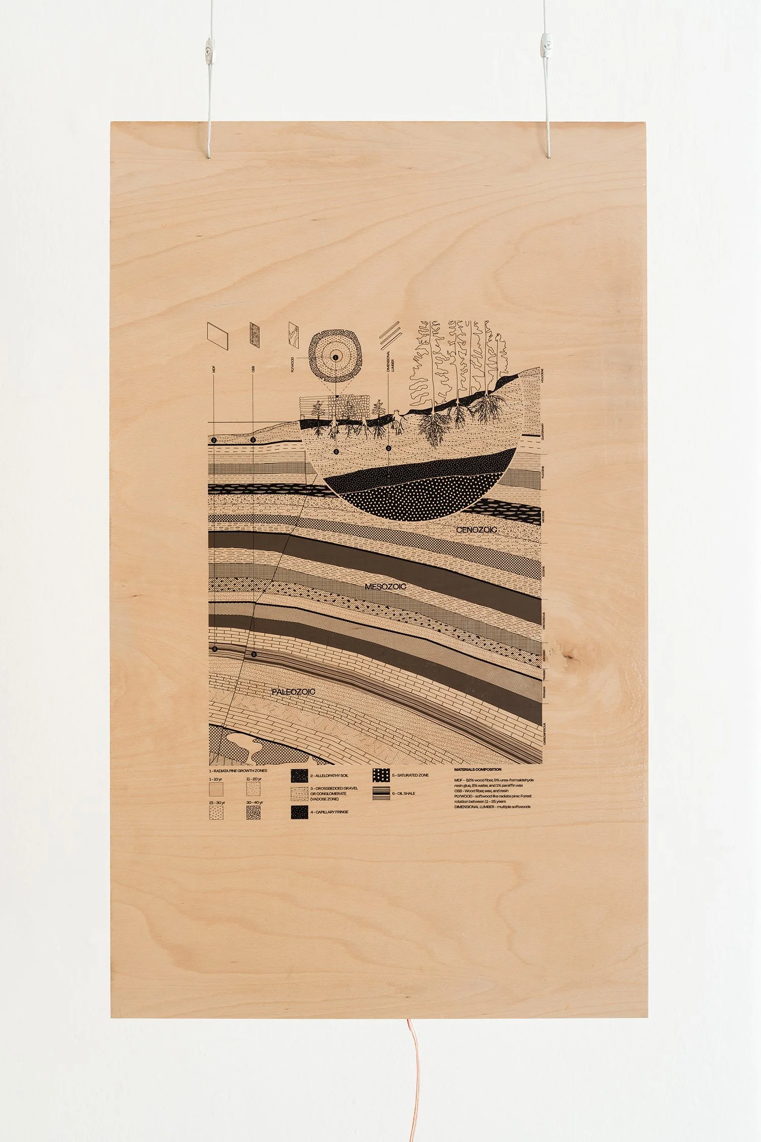 Planetary Home Improvement 2.JPG