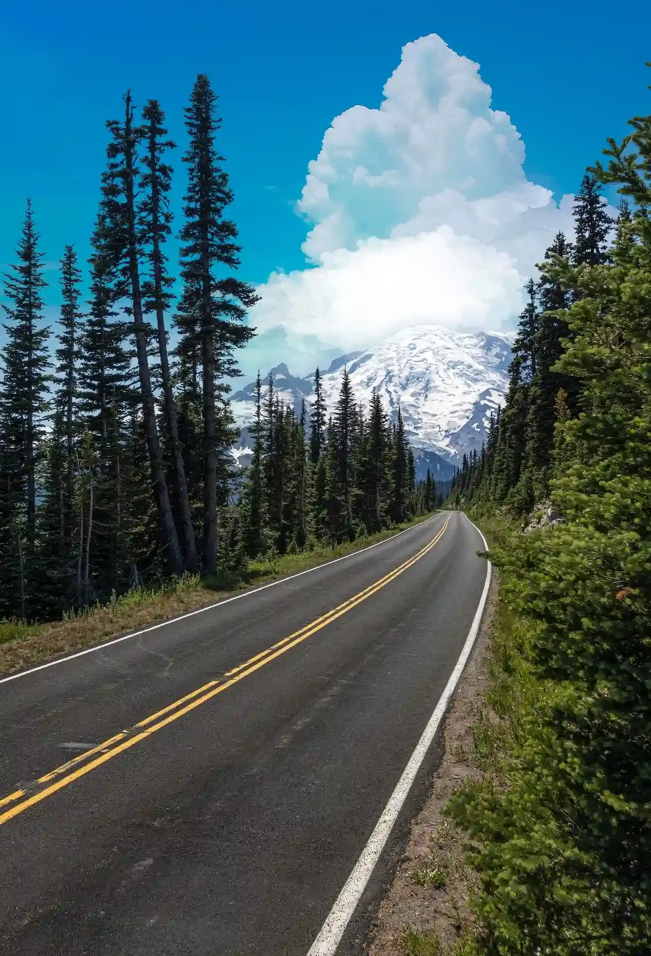 A paved mountain road winding through a forest with tall evergreen trees, with a snow-capped mountain and large cloud in the background under a clear blue sky.