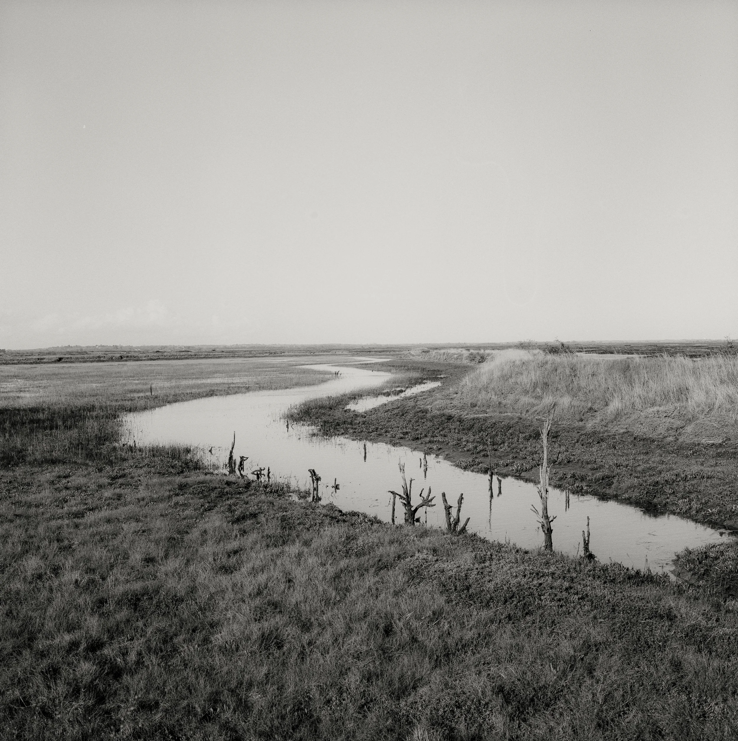 Tollesbury, Essex (2024)