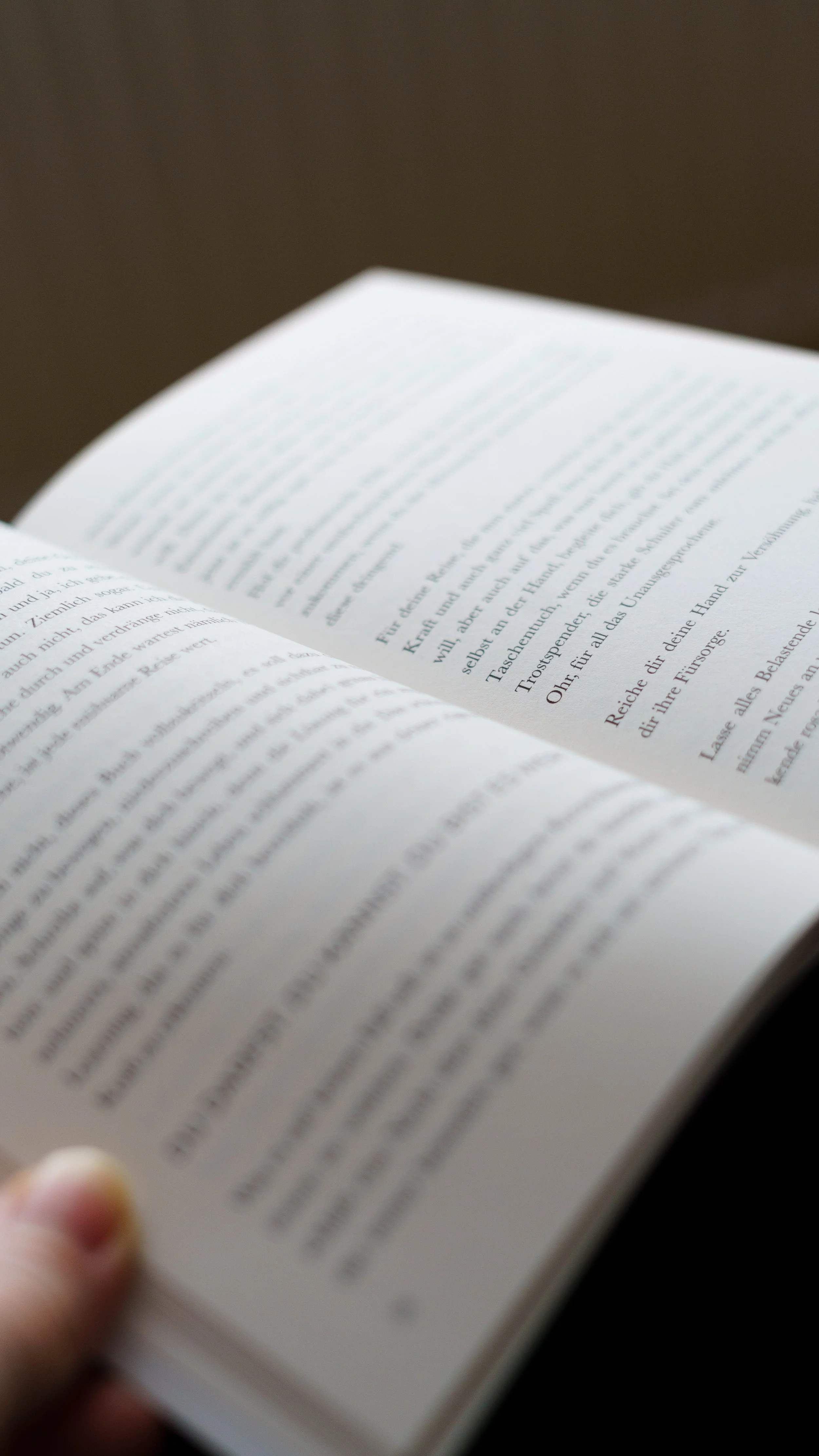 Nahaufnahme eines offenen Buches mit Text auf den Seiten, der hauptsächlich in der Mitte sichtbar ist, die Ränder der Seiten sind unscharf.