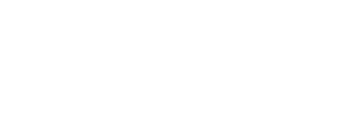plasticpreneur