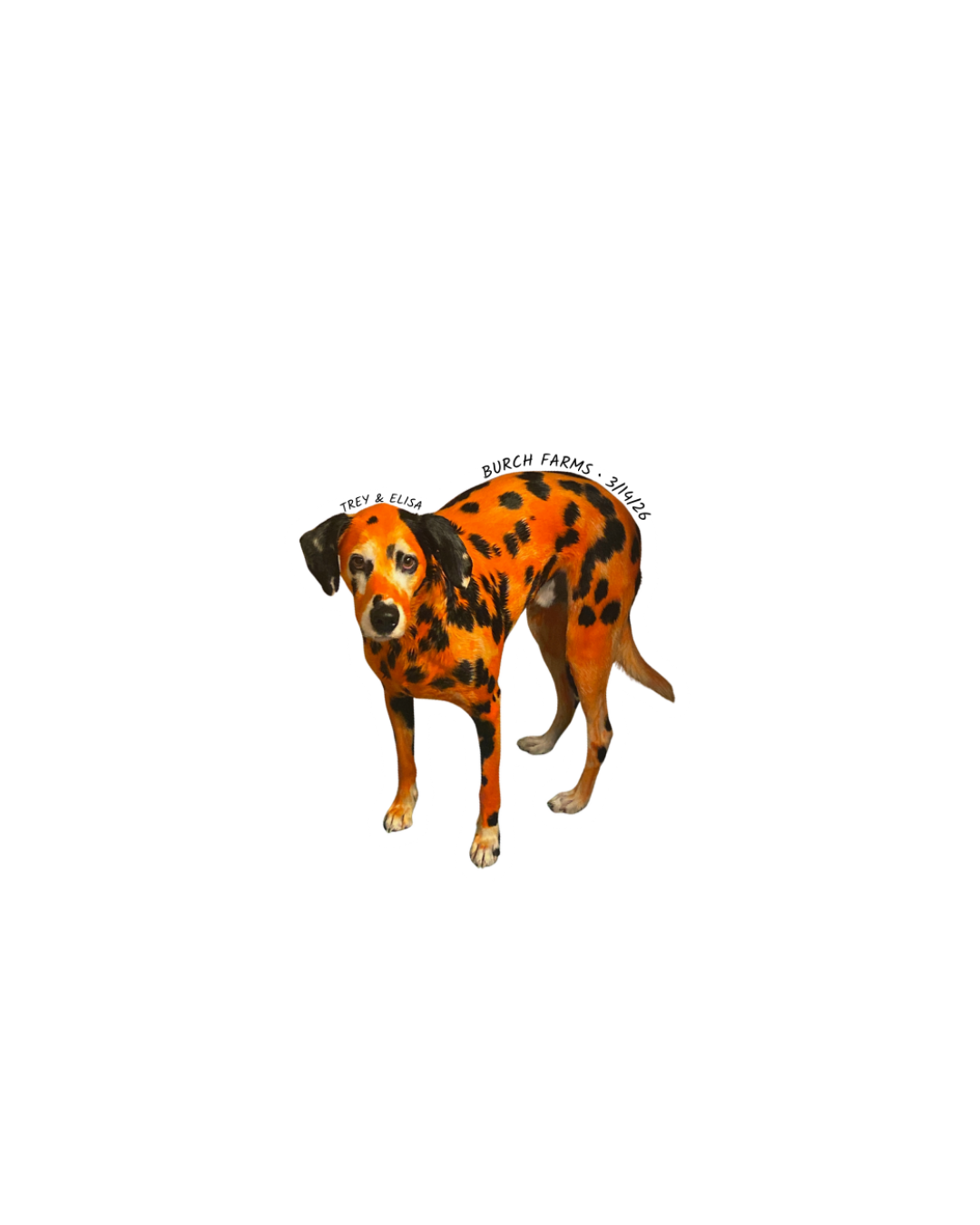 Untitled design (1).png