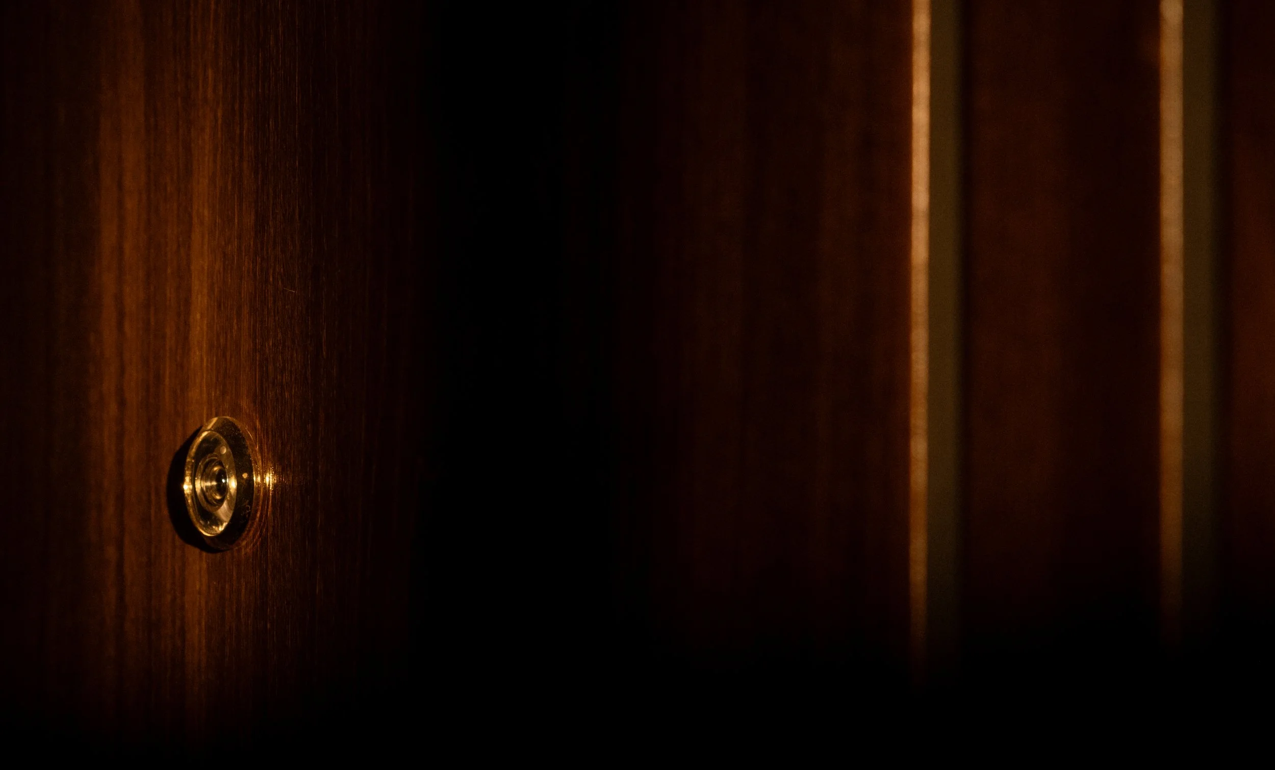 Close-up of a dark wooden door with a shiny circular lock in the lower left corner.