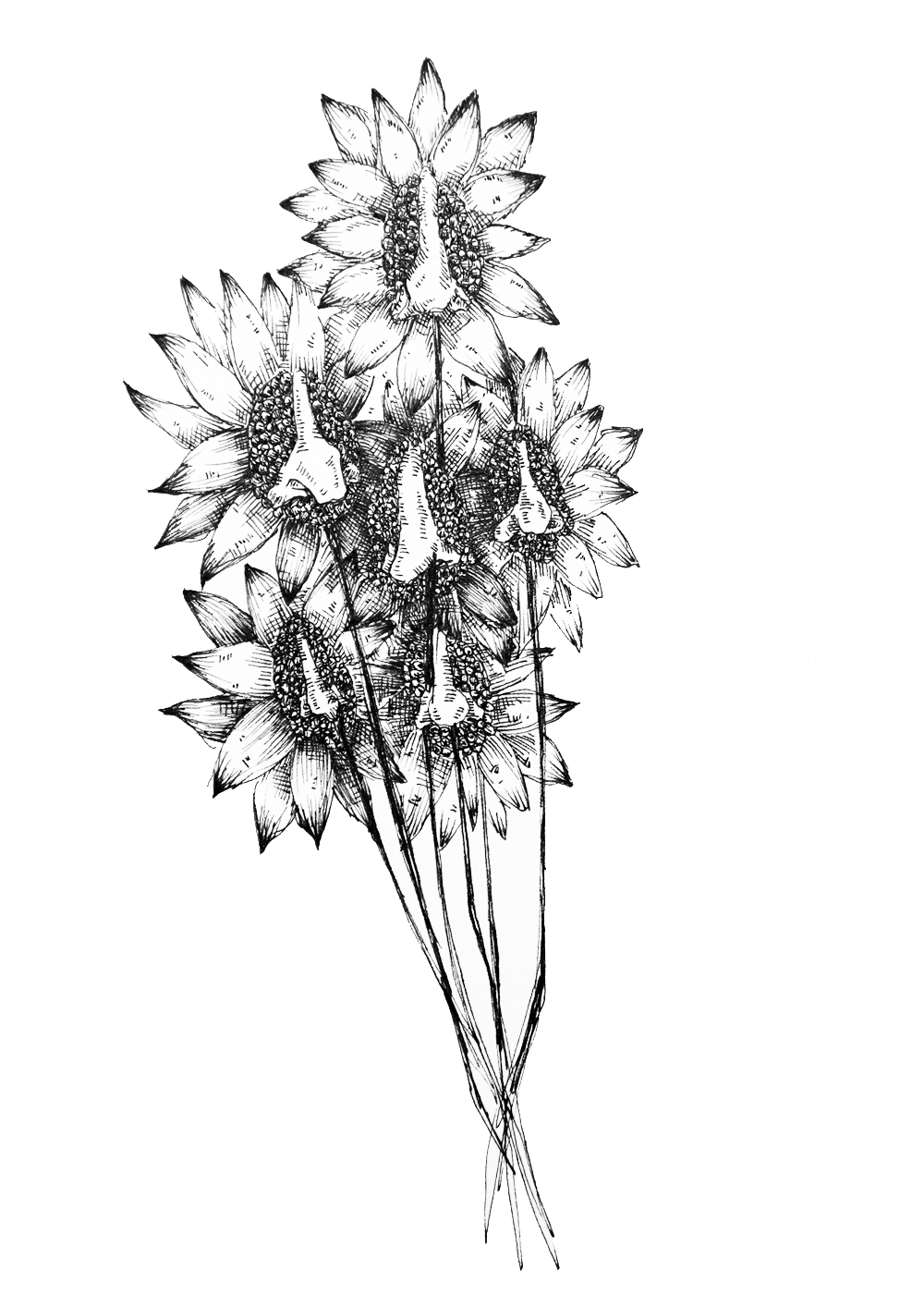 flowers with nose.png