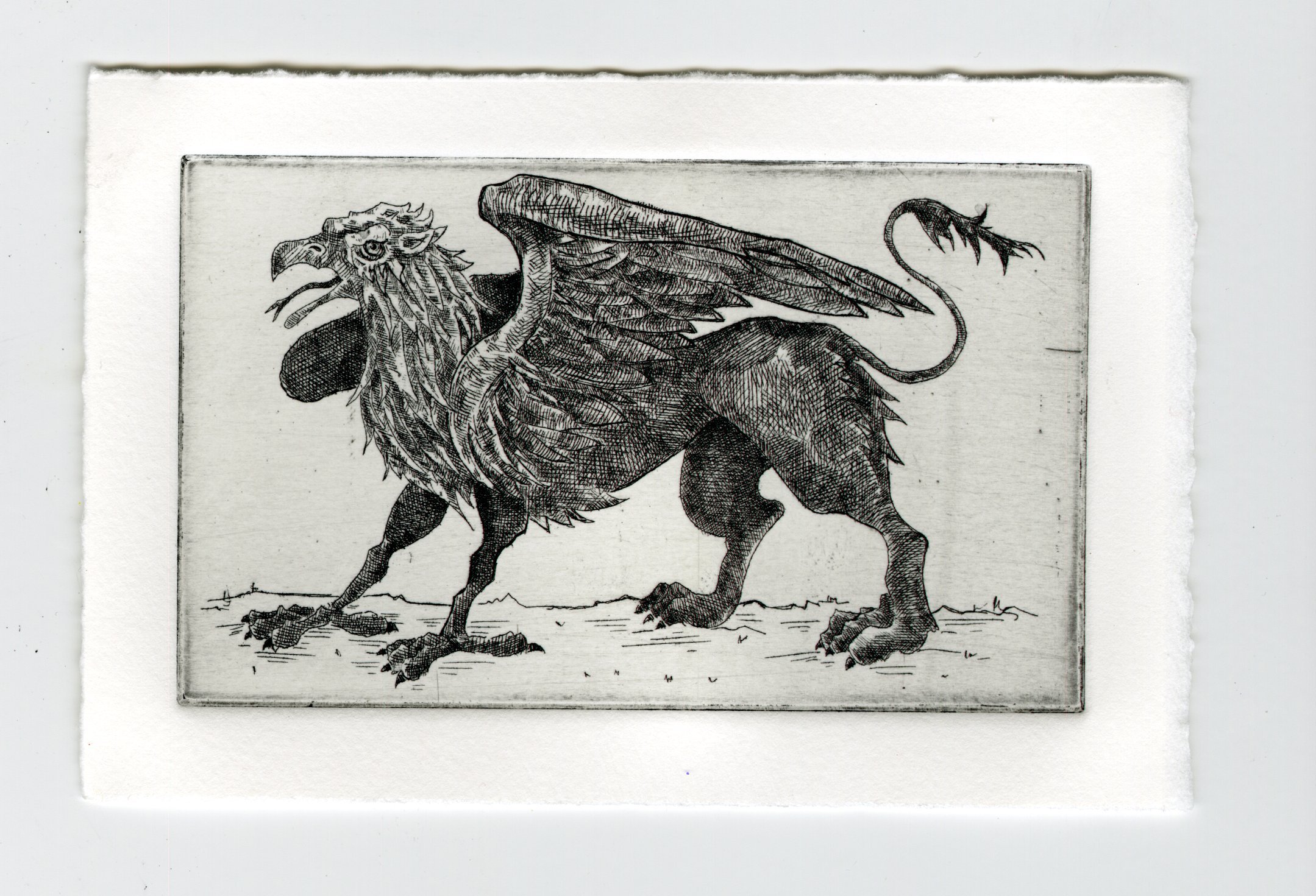Glazer_Gryphon.jpg