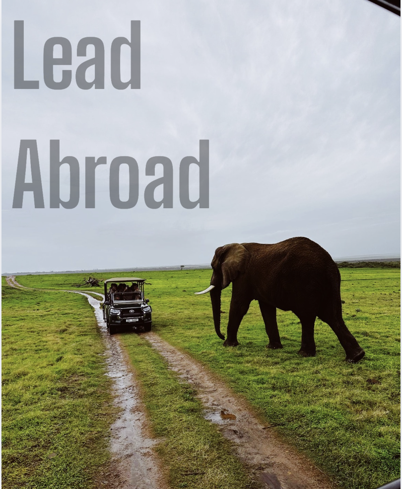 leadabroadsocialmediaintern