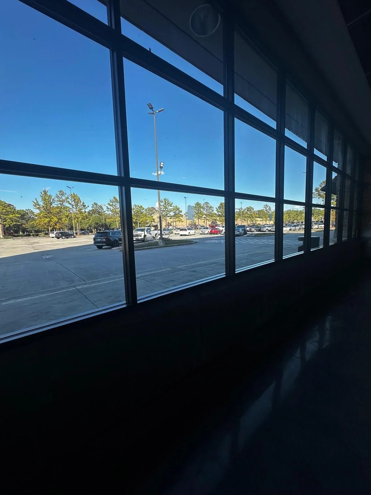 View of a parking lot outside through tall glass windows, with parked cars, trees, and a clear blue sky.